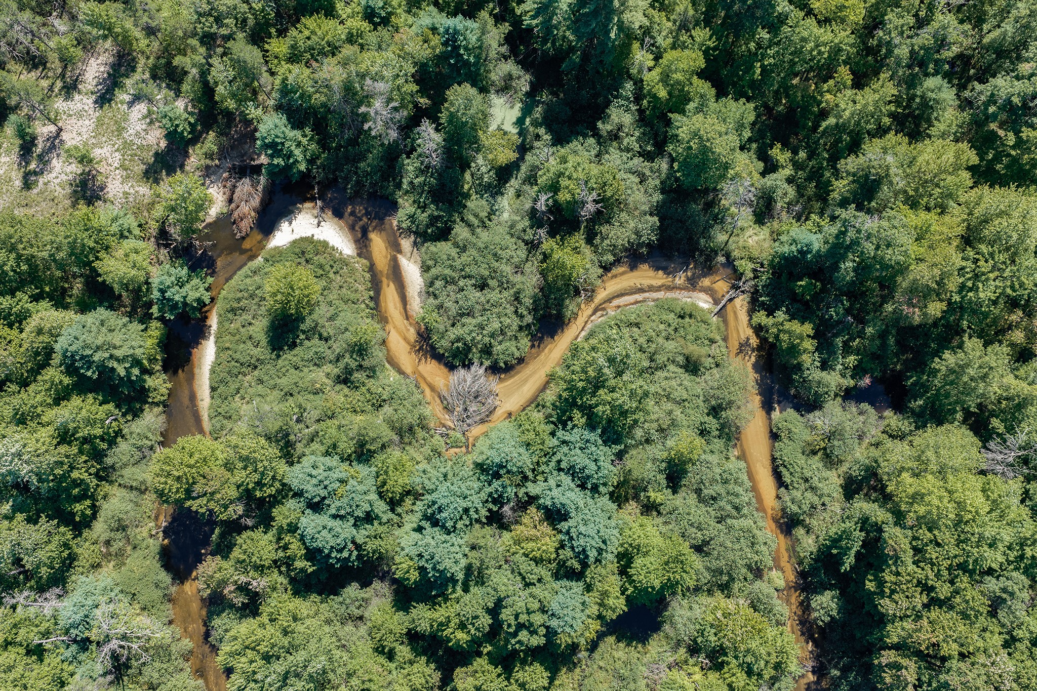 S10460 Black Creek Road Property Photo 48