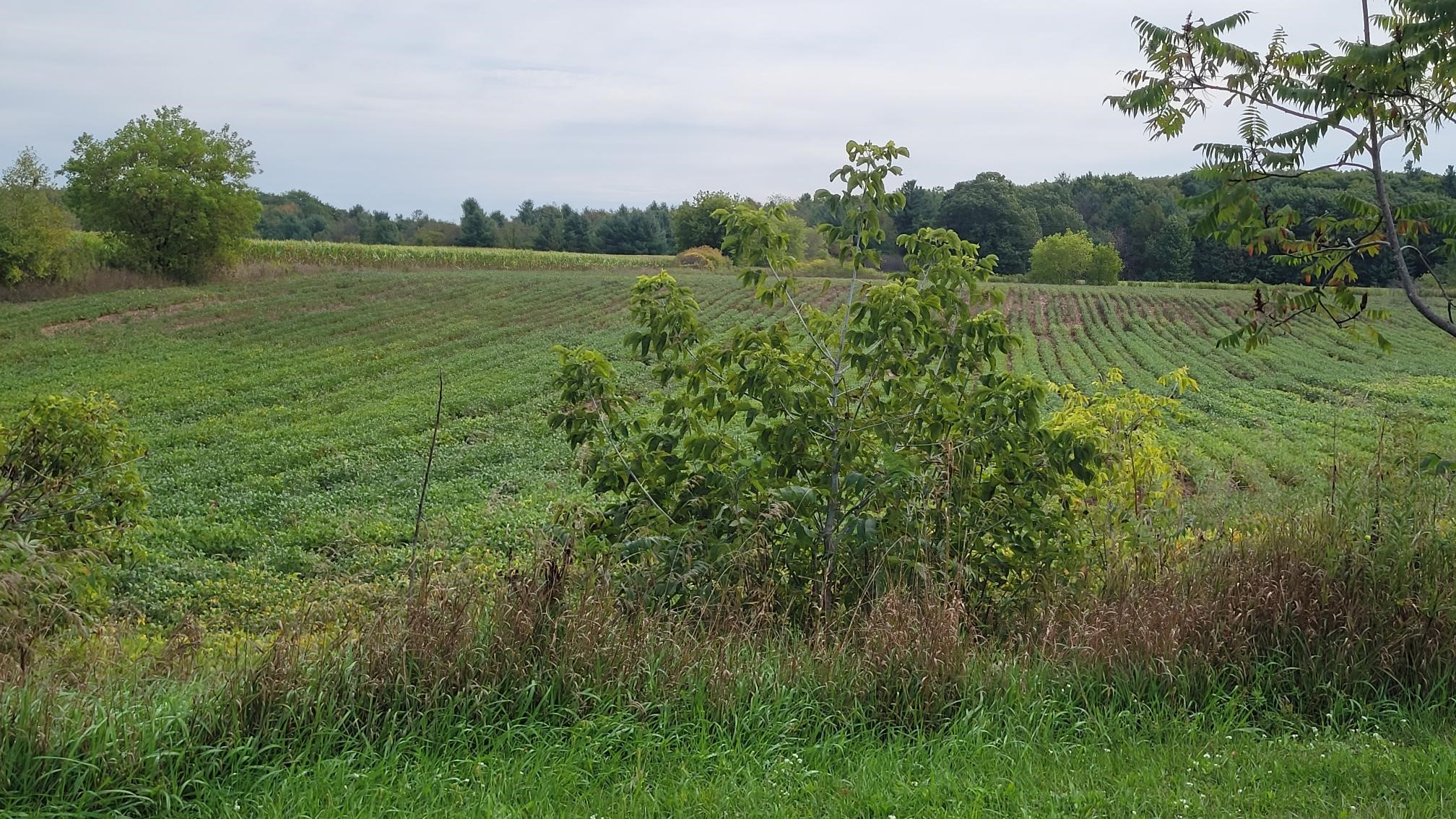 3585 Highway 49 Property Photo 5