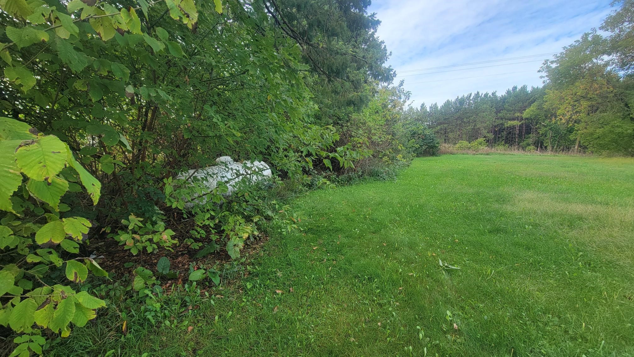 3585 Highway 49 Property Photo 7