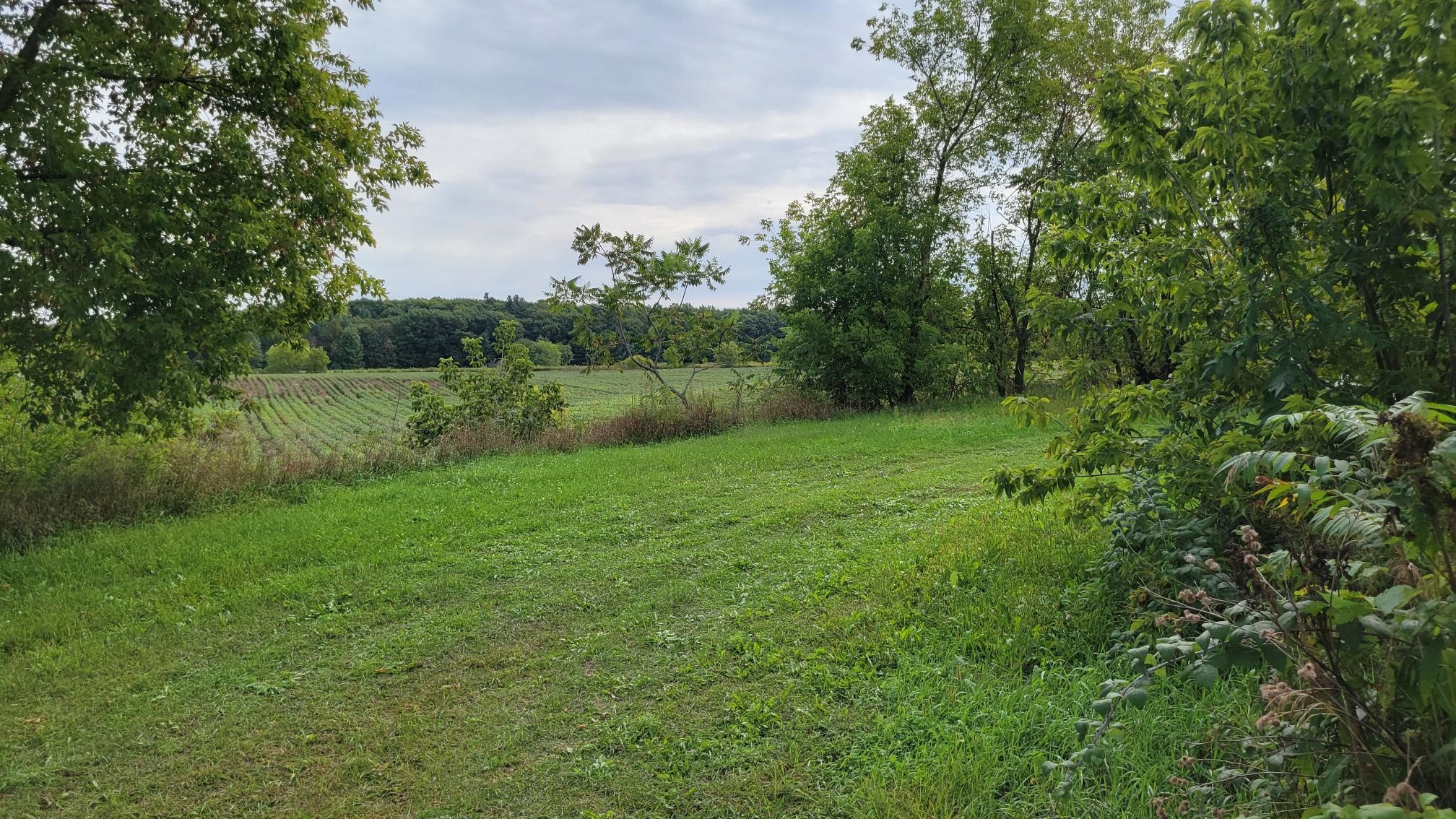 3585 Highway 49 Property Photo 10