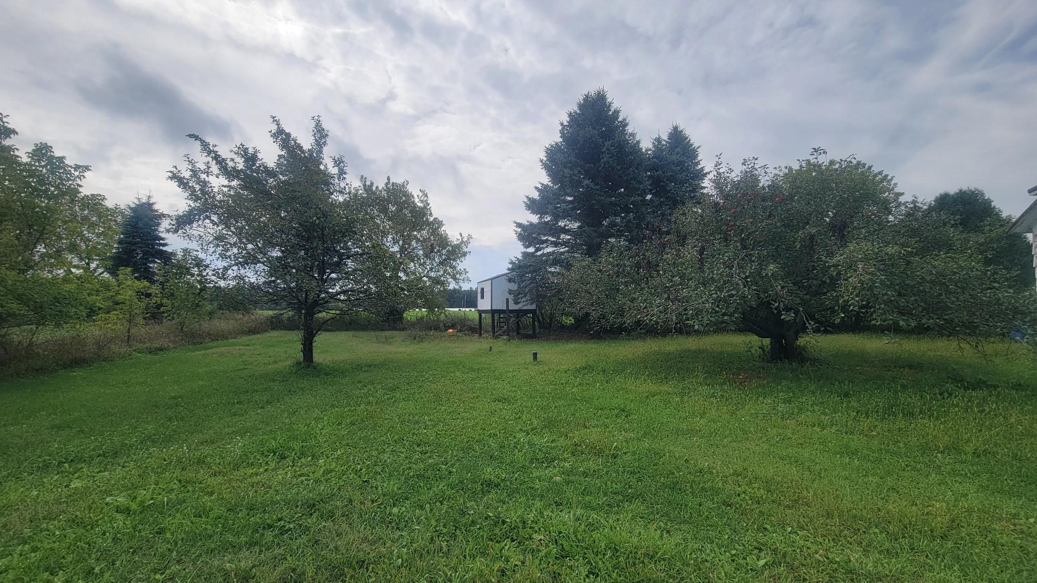 3585 Highway 49 Property Photo 18