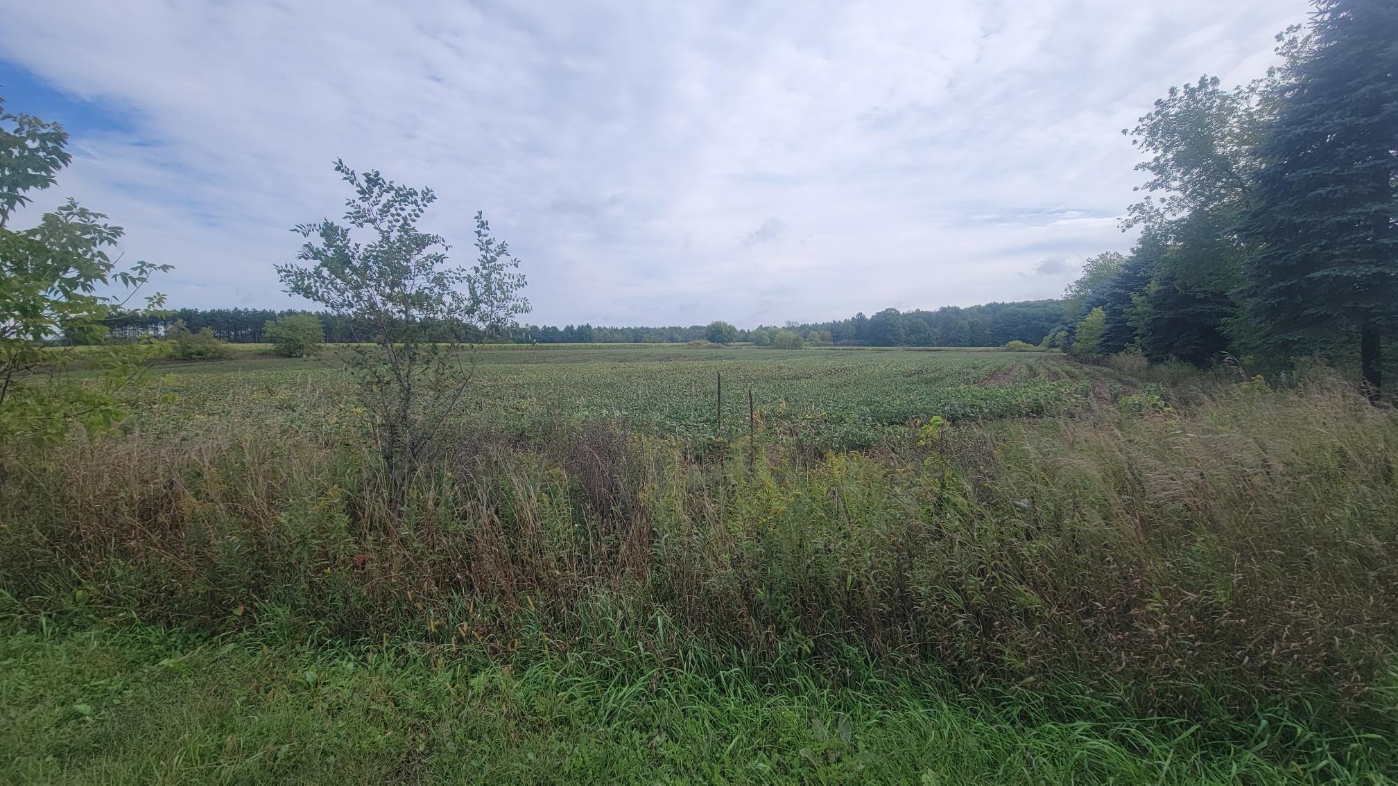 3585 Highway 49 Property Photo 19