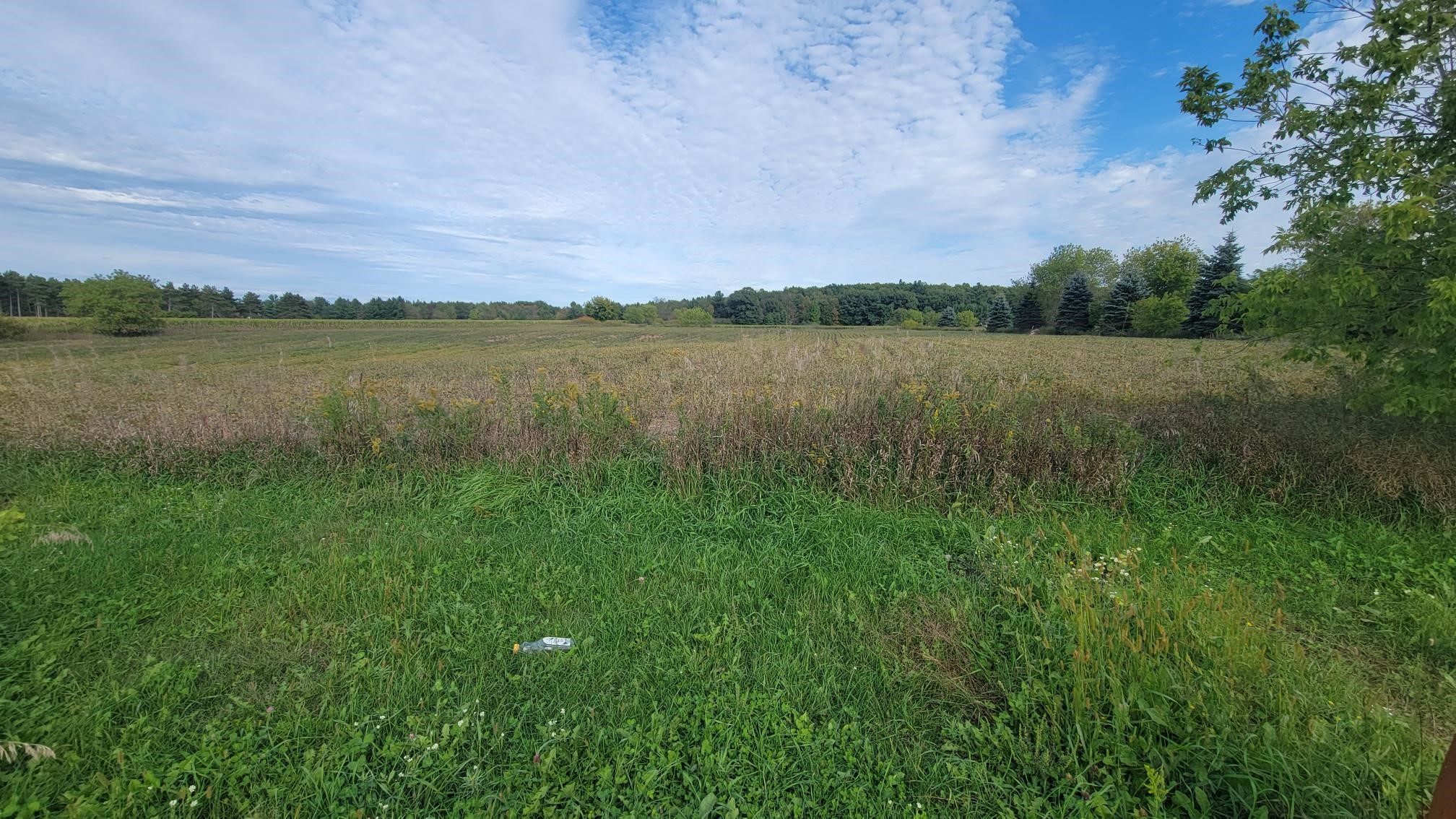 3585 Highway 49 Property Photo 24
