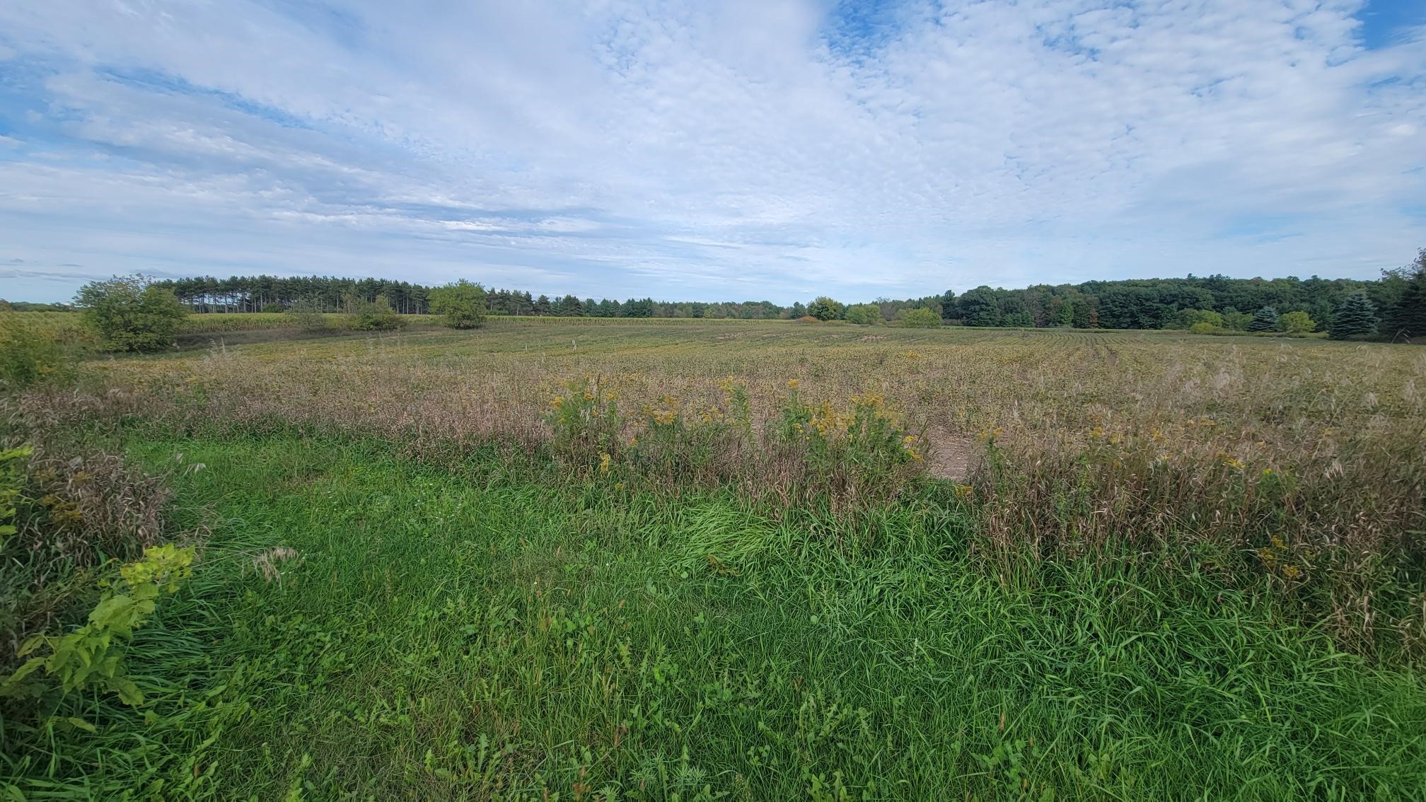 3585 Highway 49 Property Photo 26