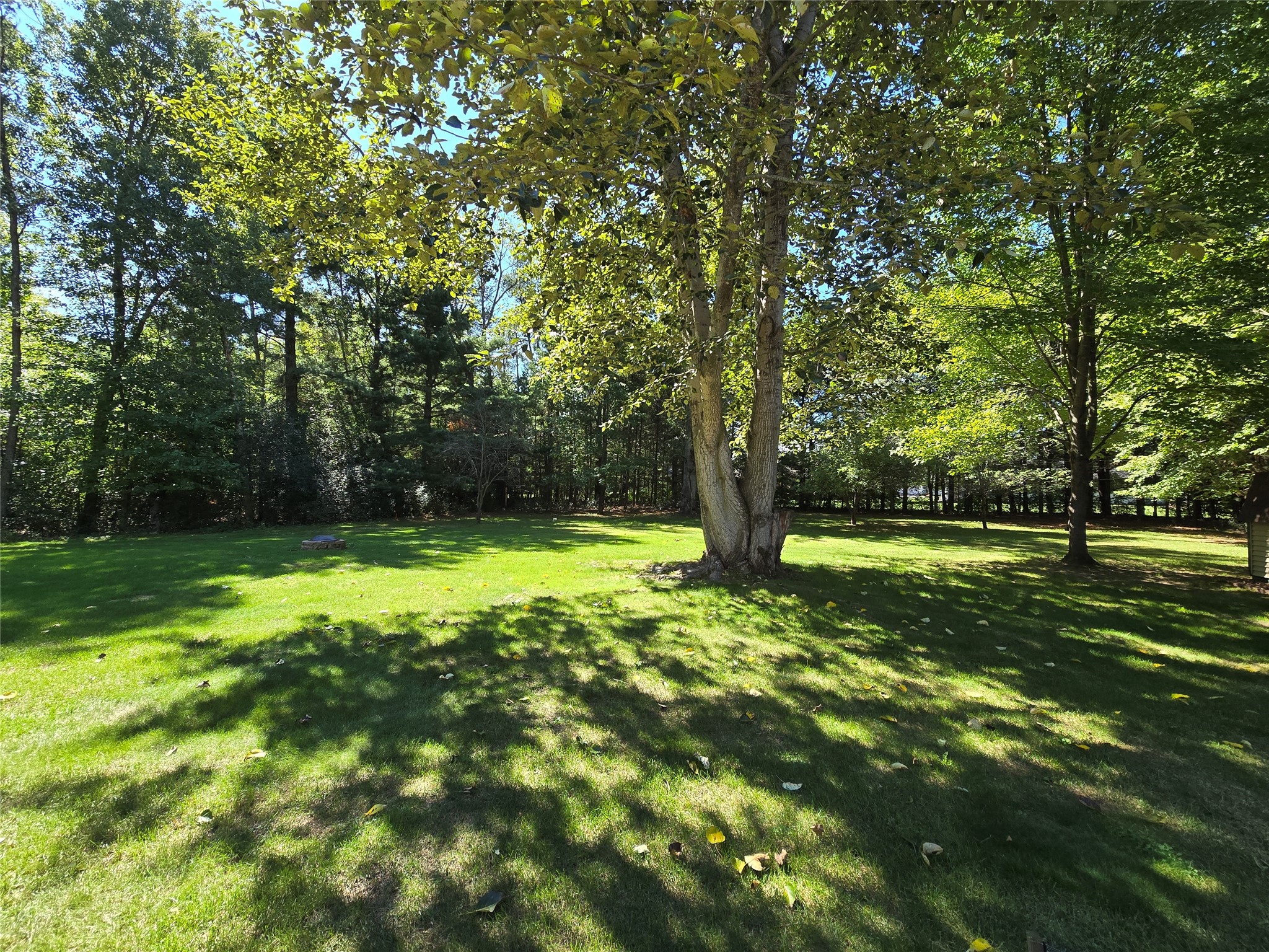 1877 Pinewood Avenue Property Photo 38