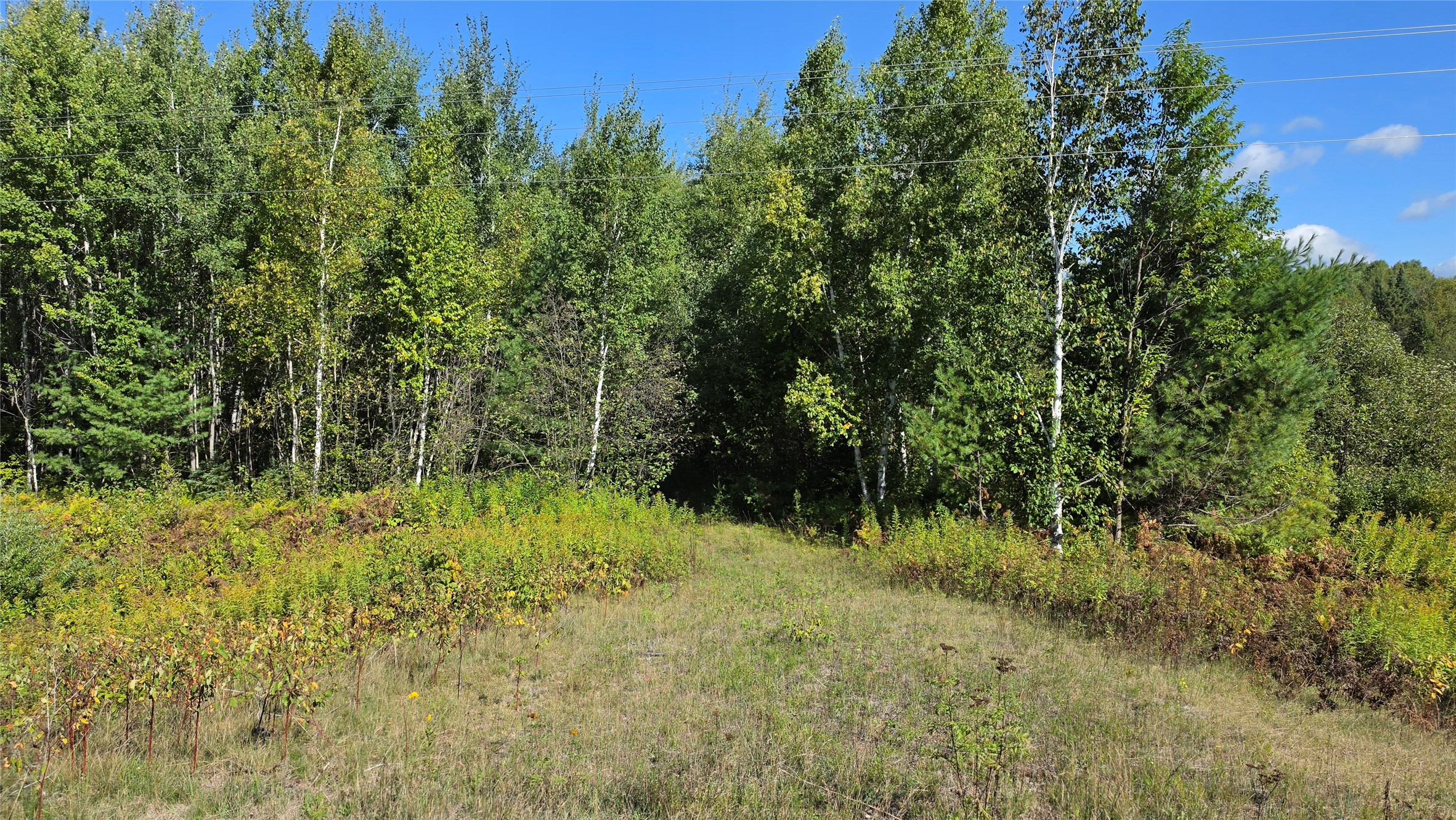 4602w State Highway 70 Property Photo 2