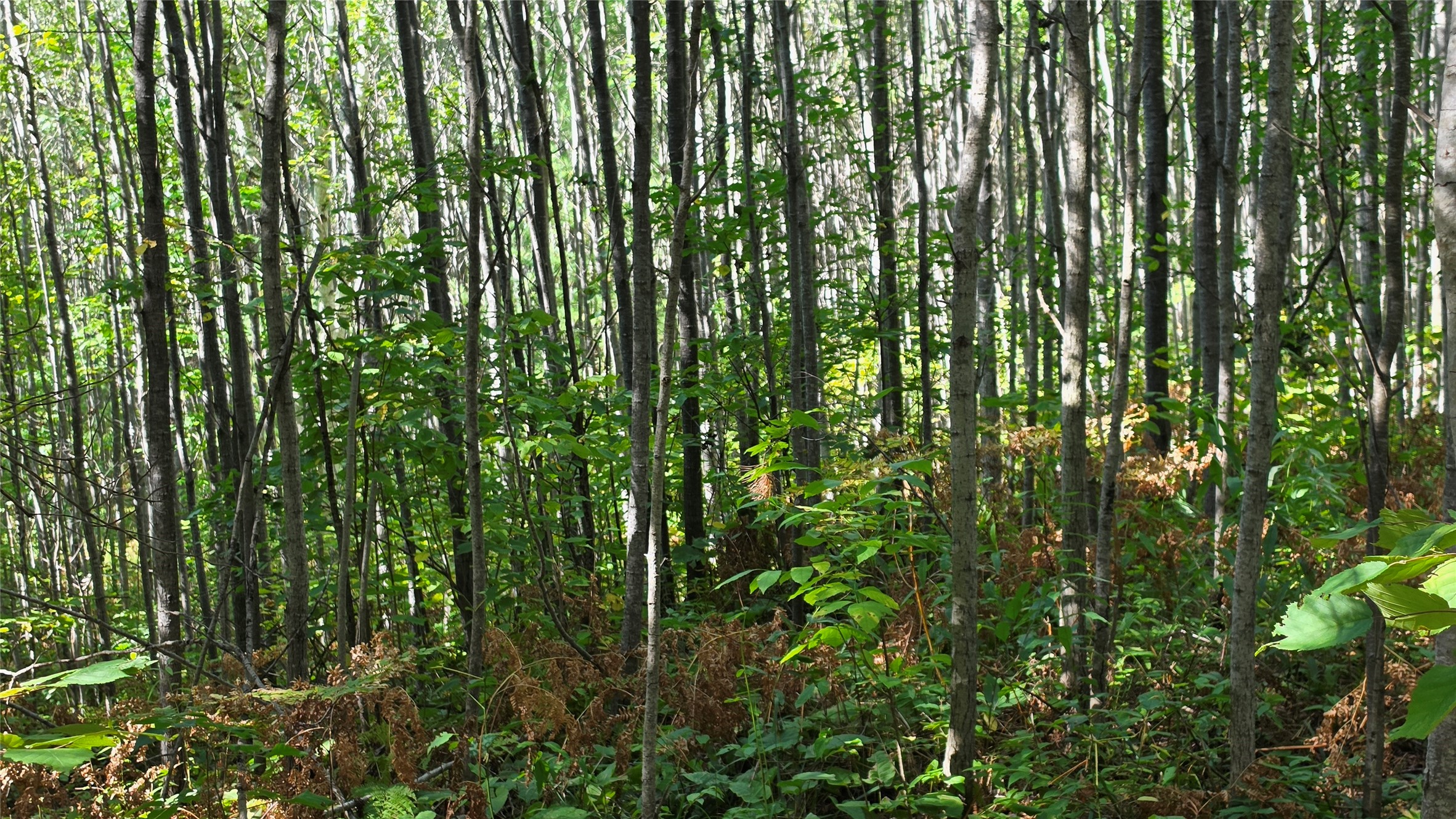 4602w State Highway 70 Property Photo 6