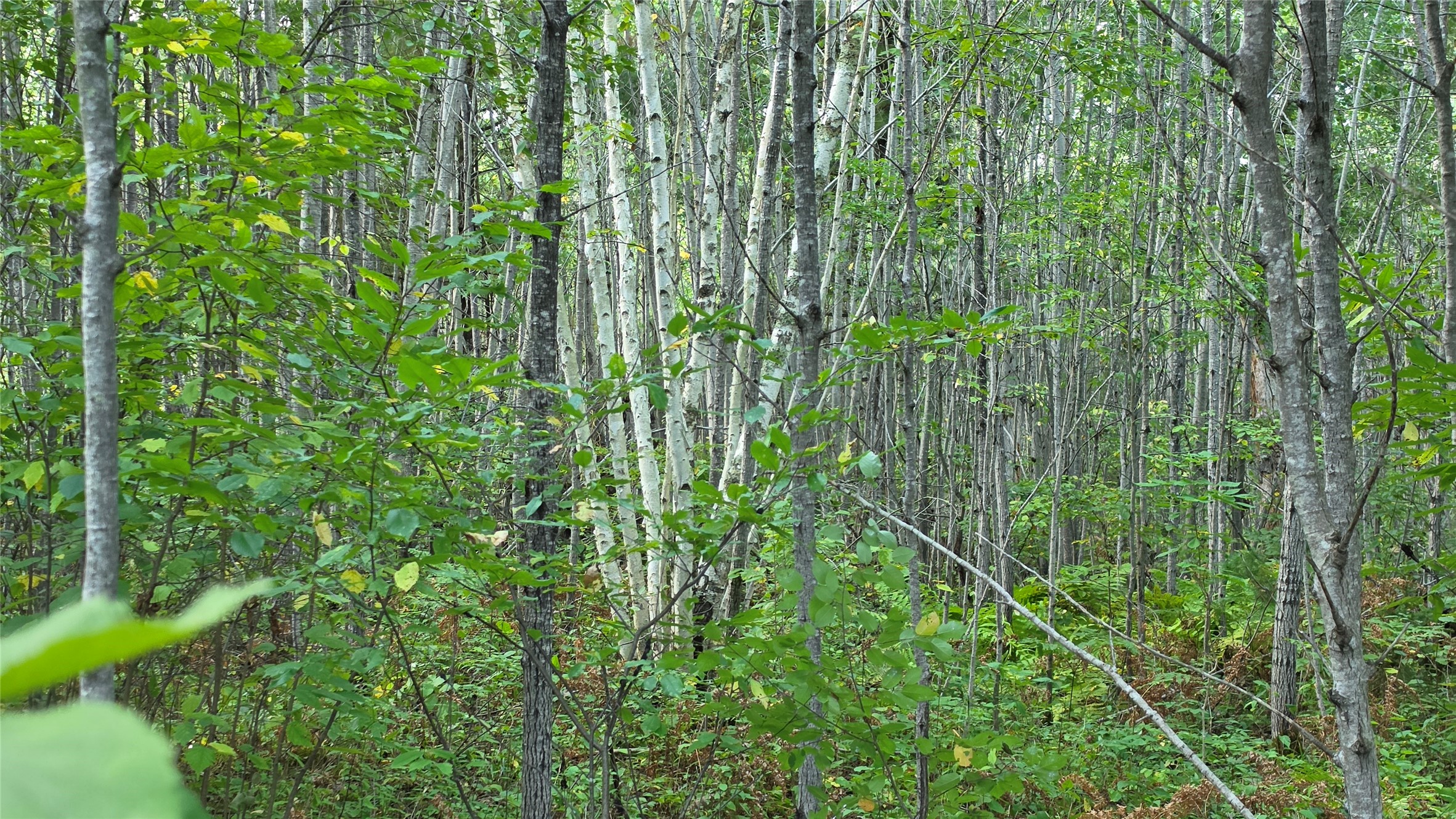 4602w State Highway 70 Property Photo 15