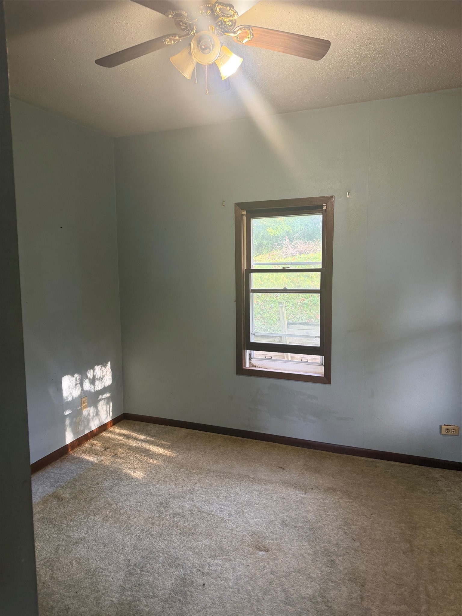 137 E Walnut Street Property Photo 6