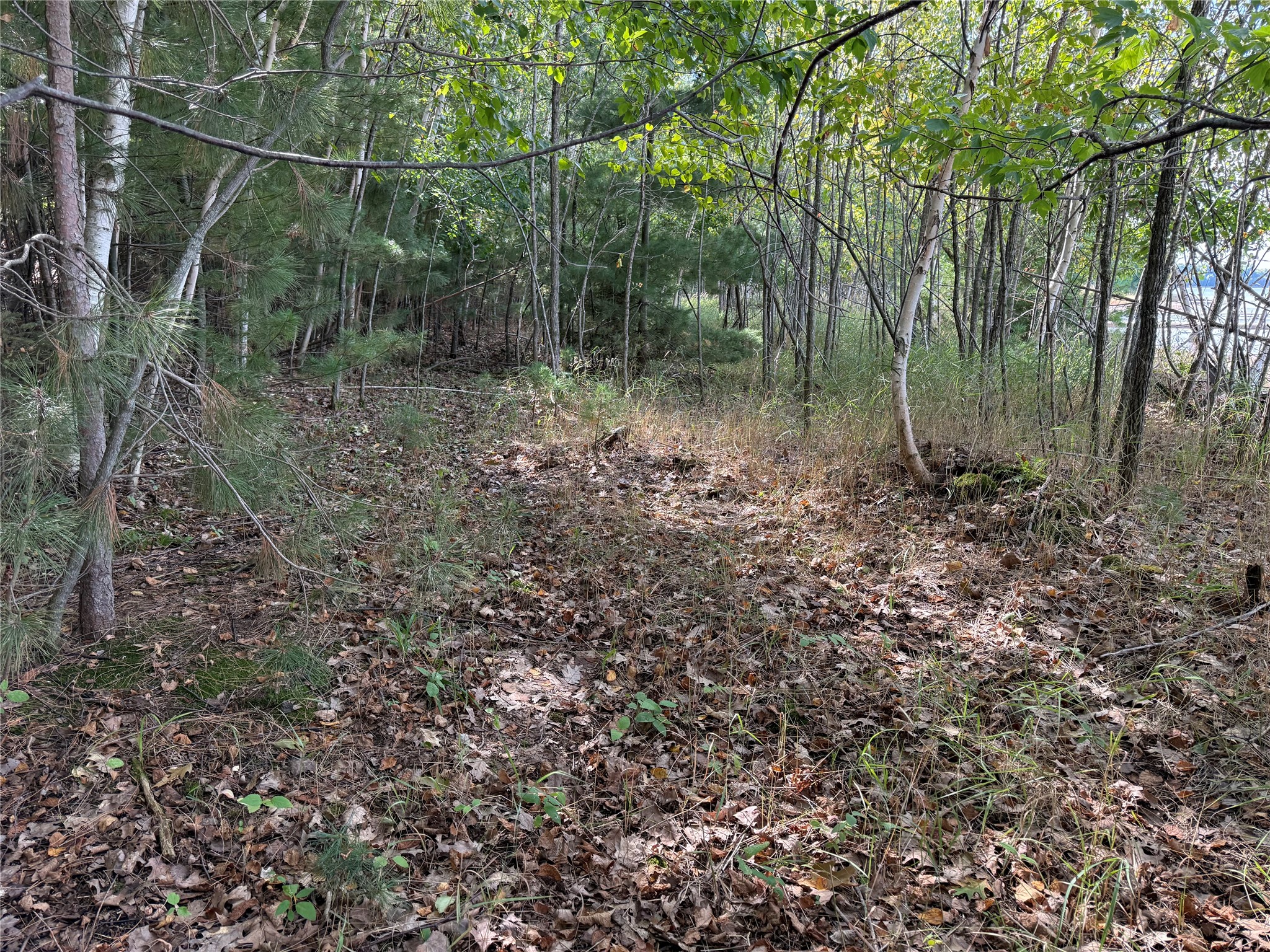 Xxx Rolphs Point Drive Property Photo 17