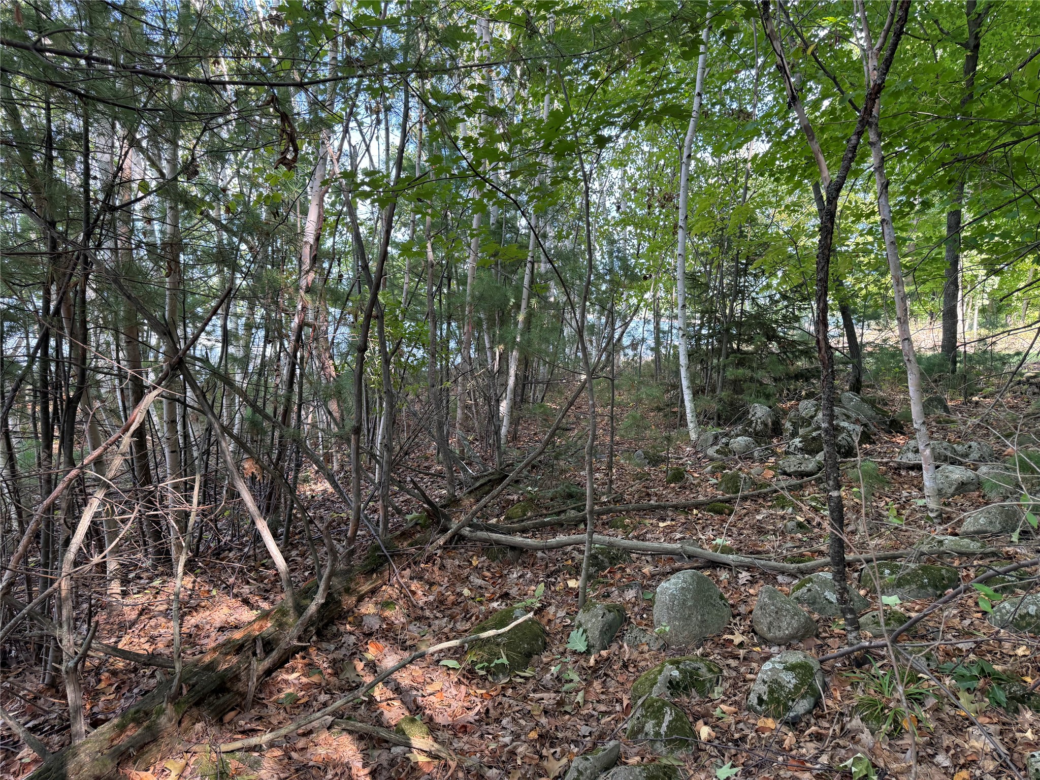 Xxx Rolphs Point Drive Property Photo 18