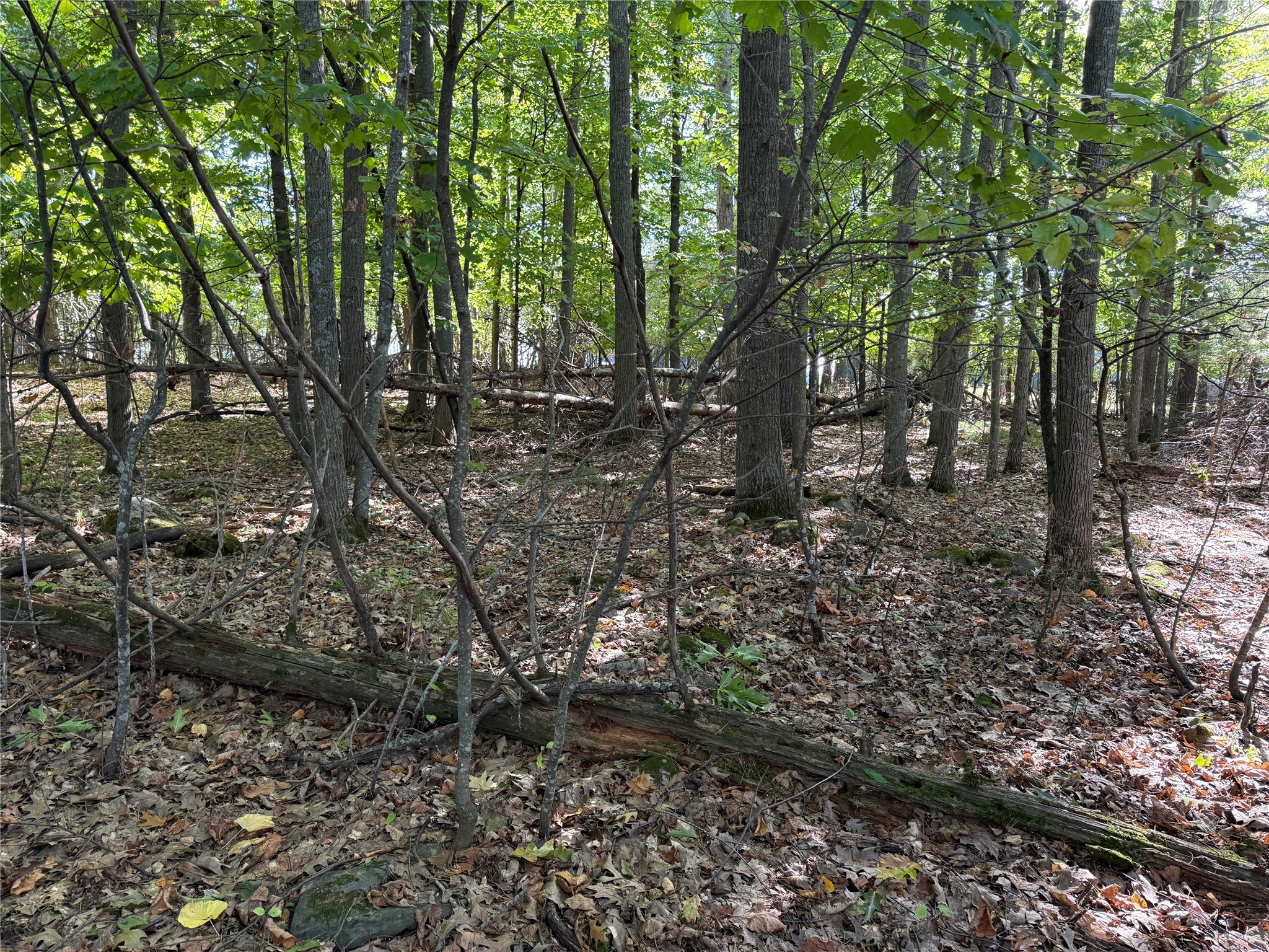 Xxx Rolphs Point Drive Property Photo 19