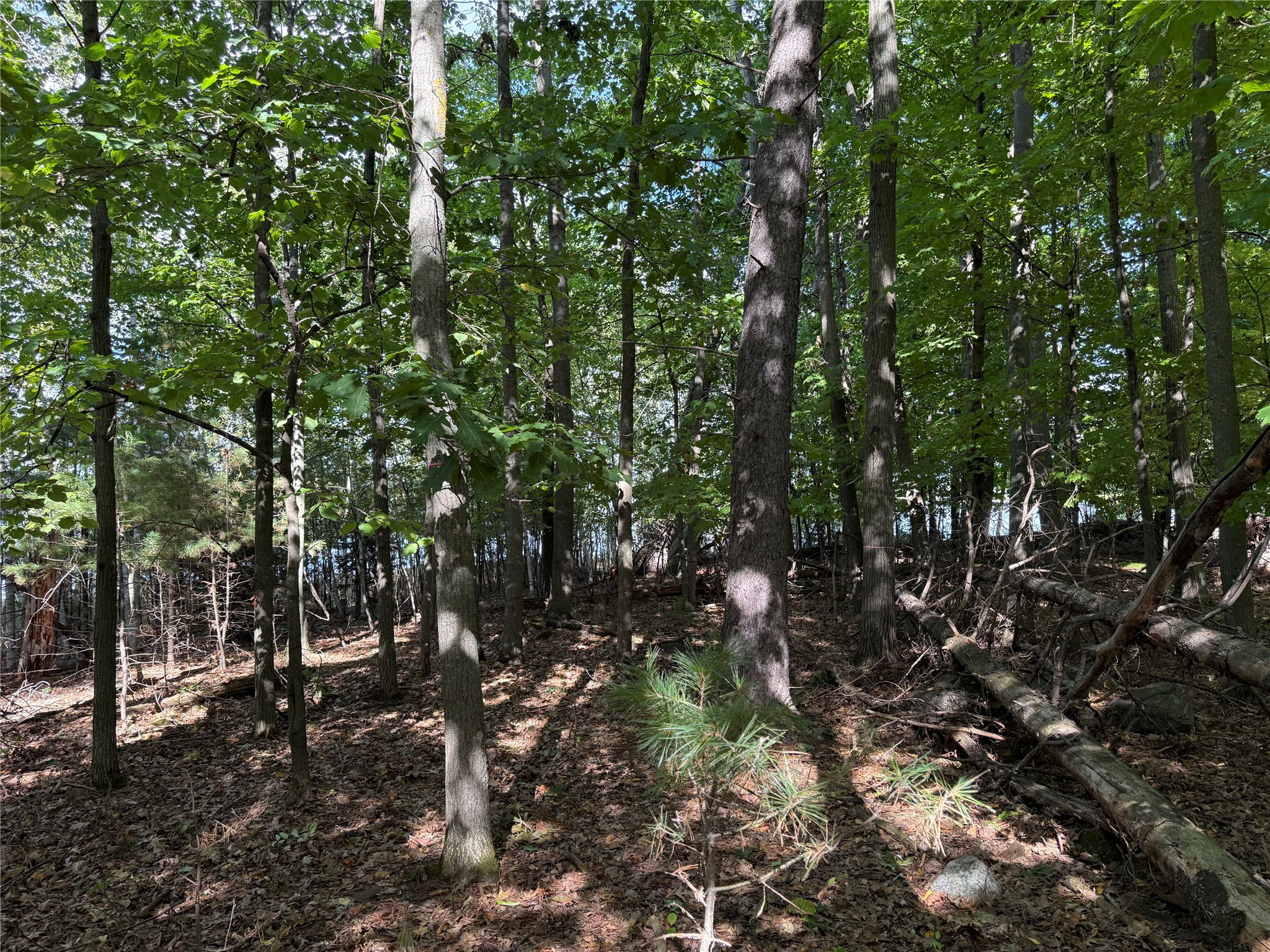 Xxx Rolphs Point Drive Property Photo 21