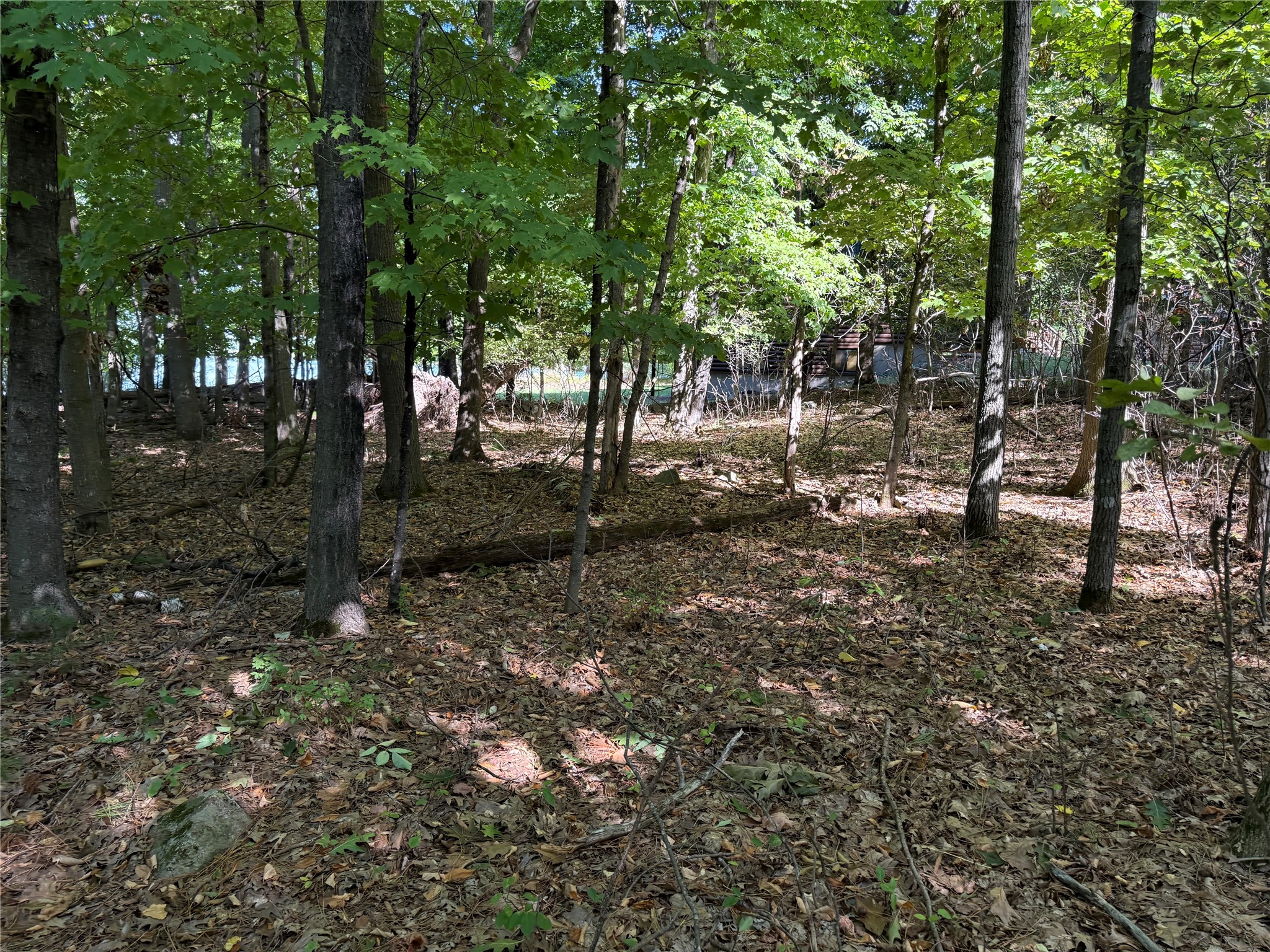 Xxx Rolphs Point Drive Property Photo 22