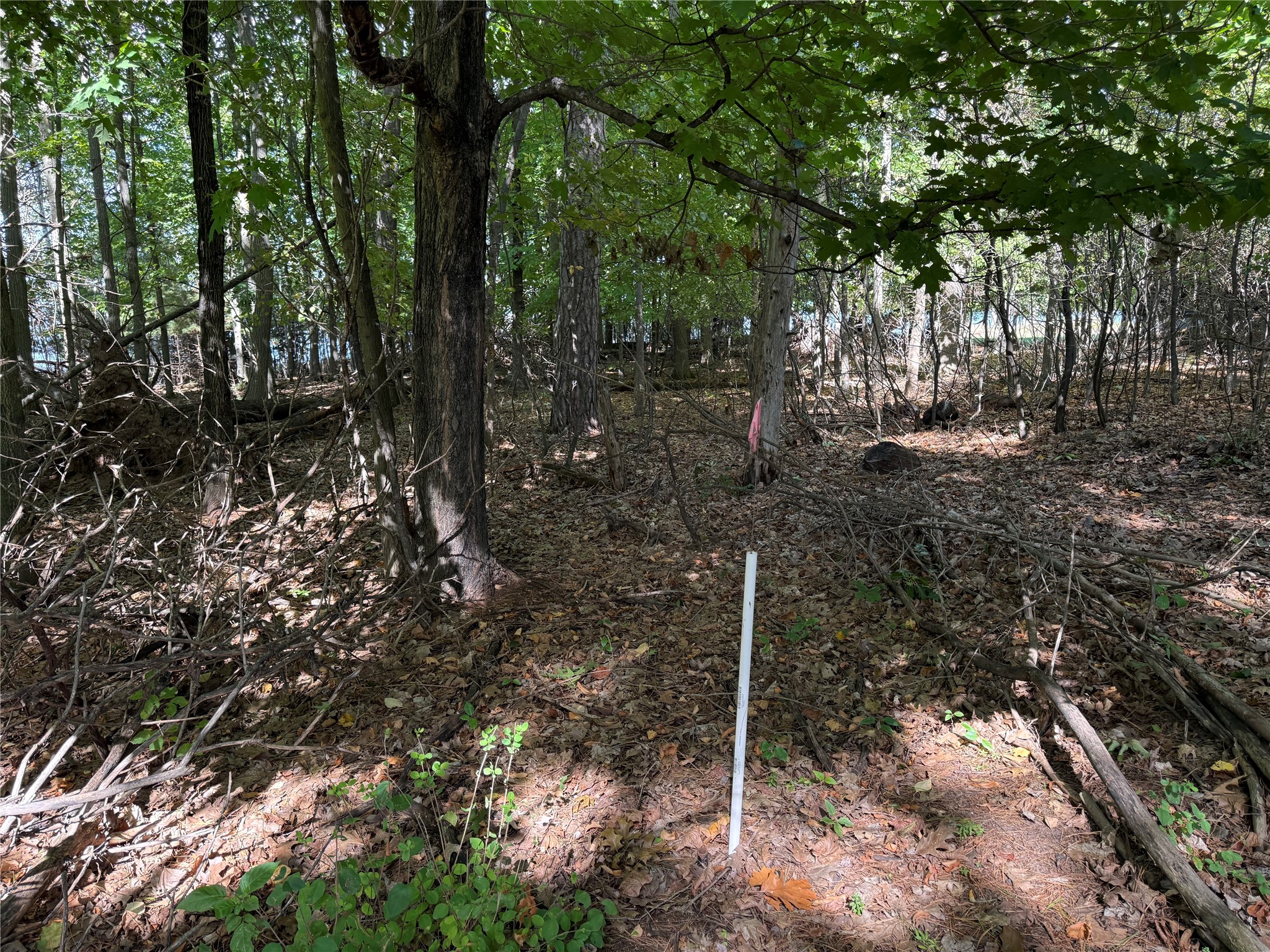 Xxx Rolphs Point Drive Property Photo 23
