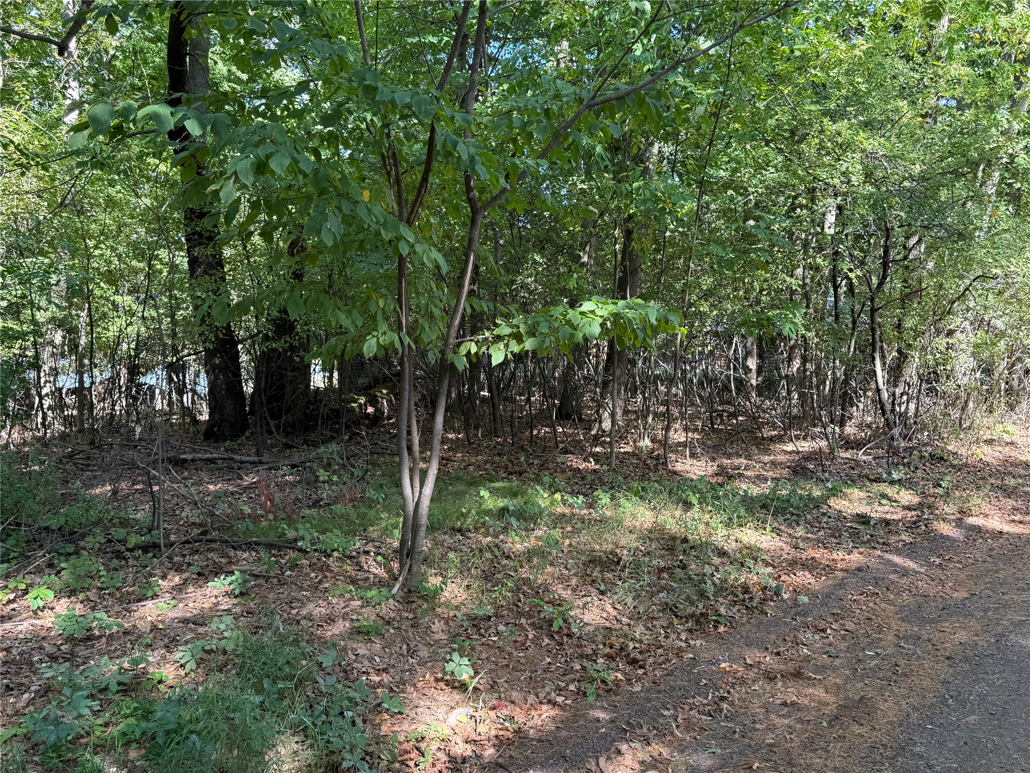 Xxx Rolphs Point Drive Property Photo 24