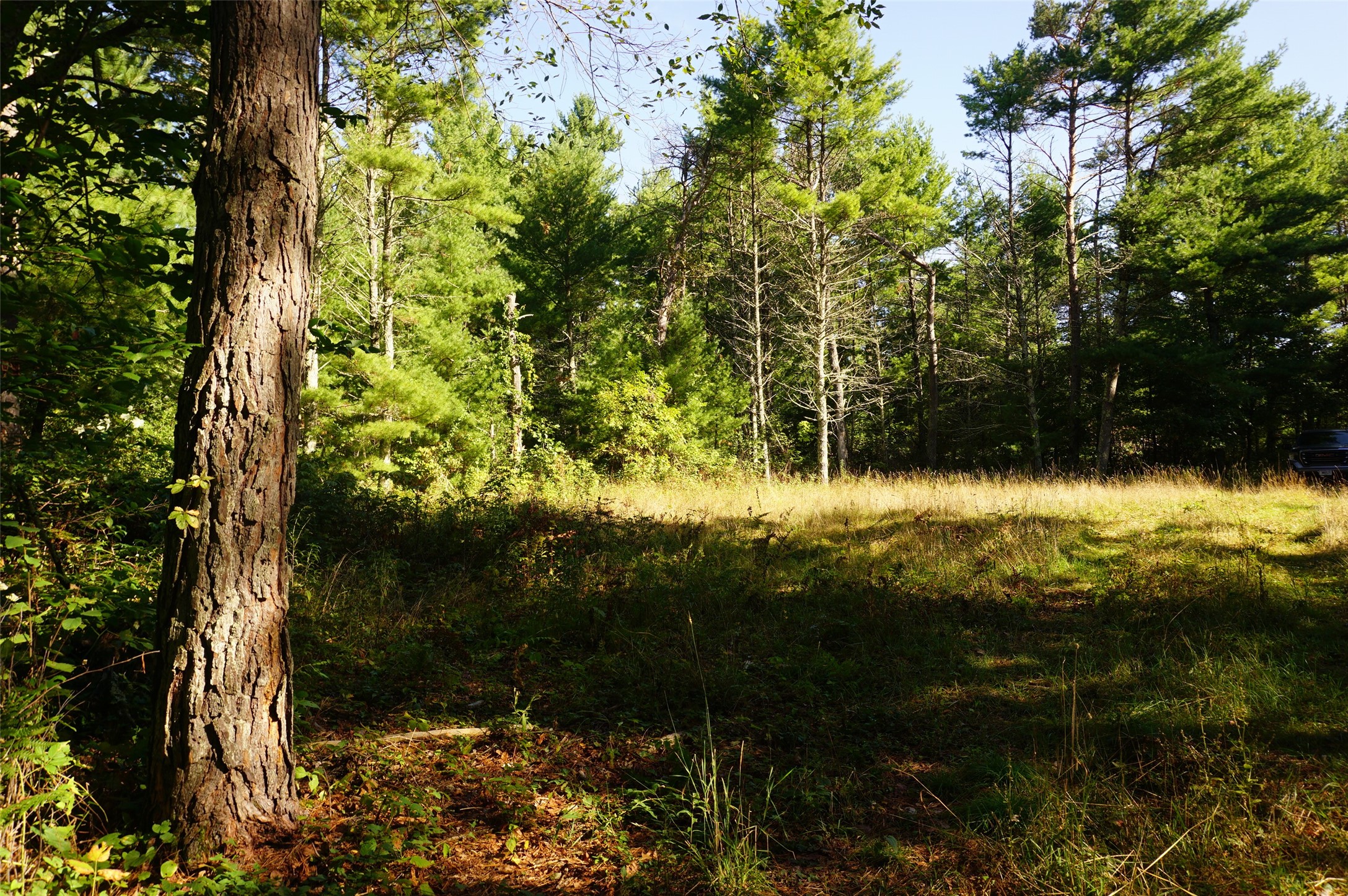 N9105 Flood -- Lot 5 Road Property Photo 1