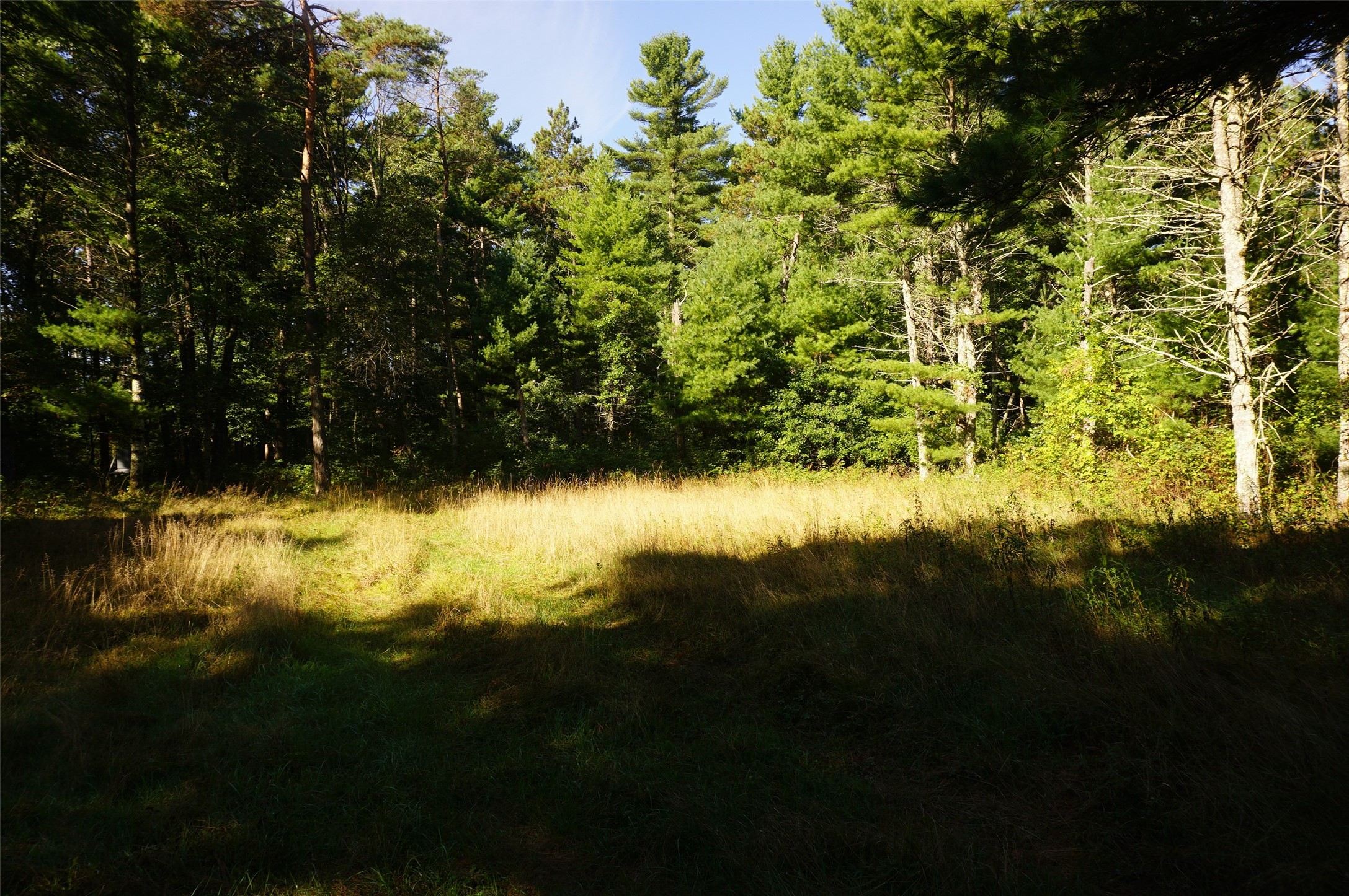 N9105 Flood -- Lot 5 Road Property Photo 2