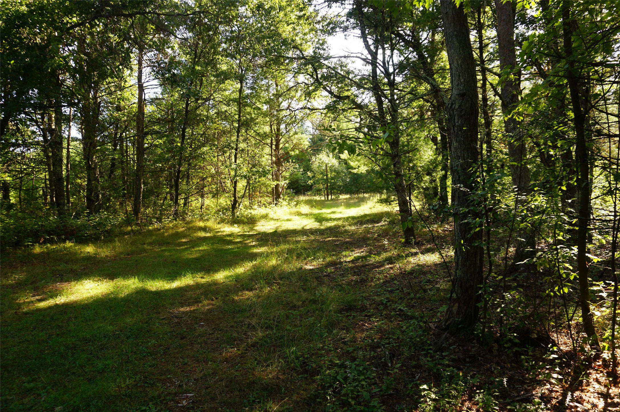 N9105 Flood -- Lot 5 Road Property Photo 3