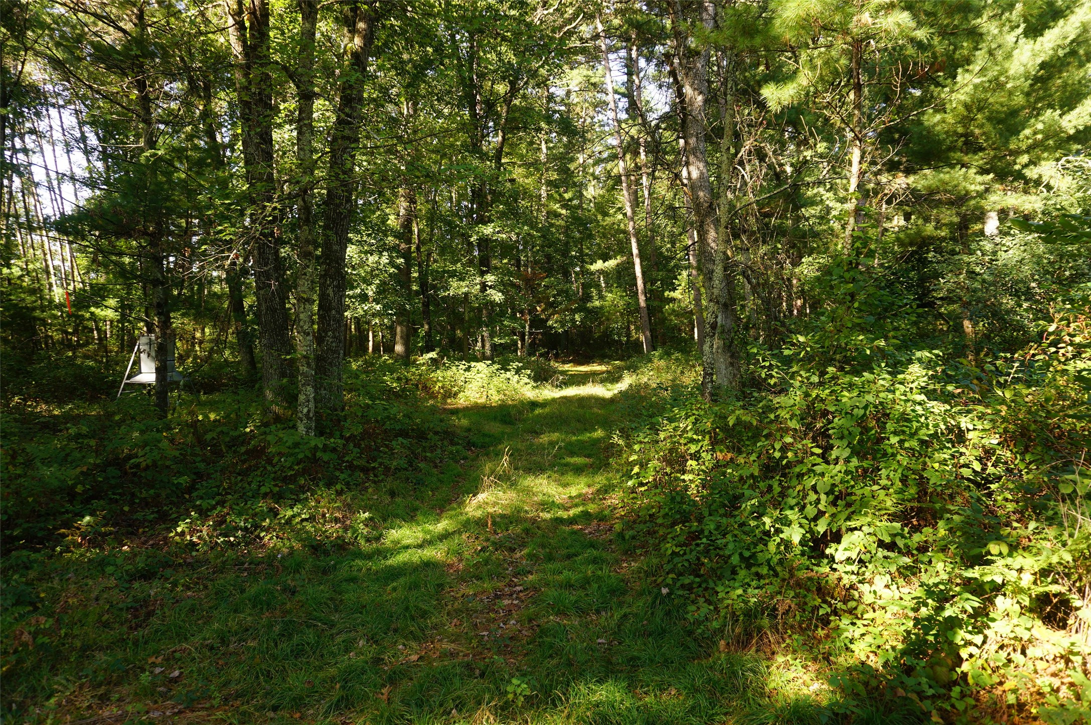 N9105 Flood -- Lot 5 Road Property Photo 5