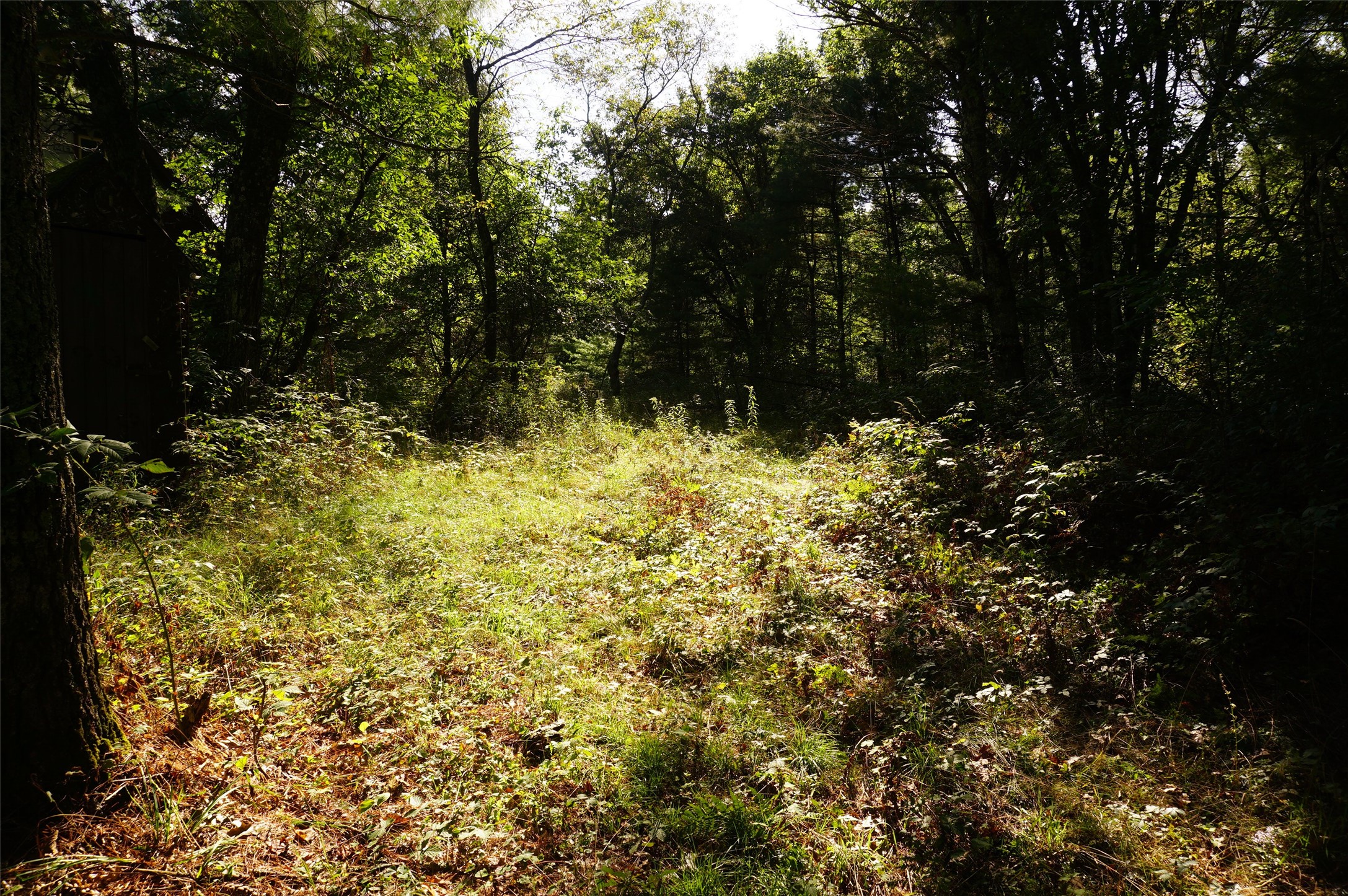 N9105 Flood -- Lot 5 Road Property Photo 6