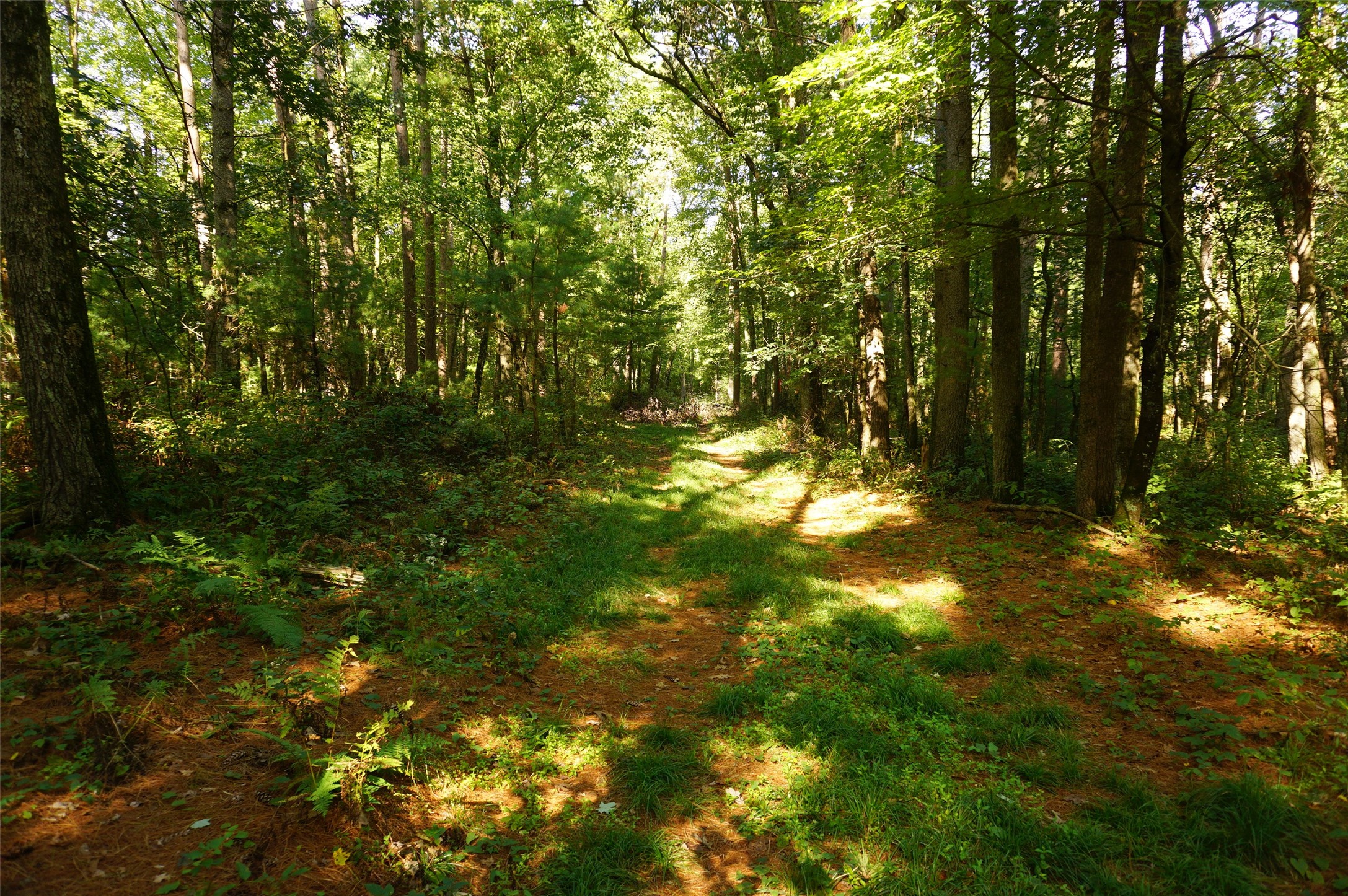 N9105 Flood -- Lot 5 Road Property Photo 9