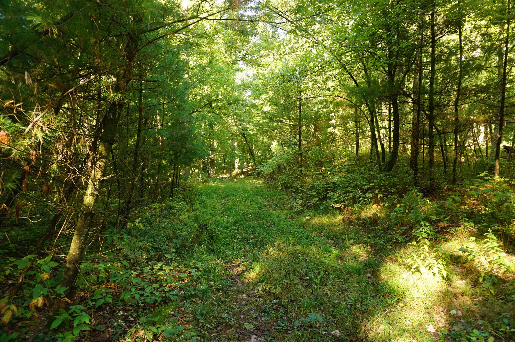 N9105 Flood -- Lot 5 Road Property Photo 11