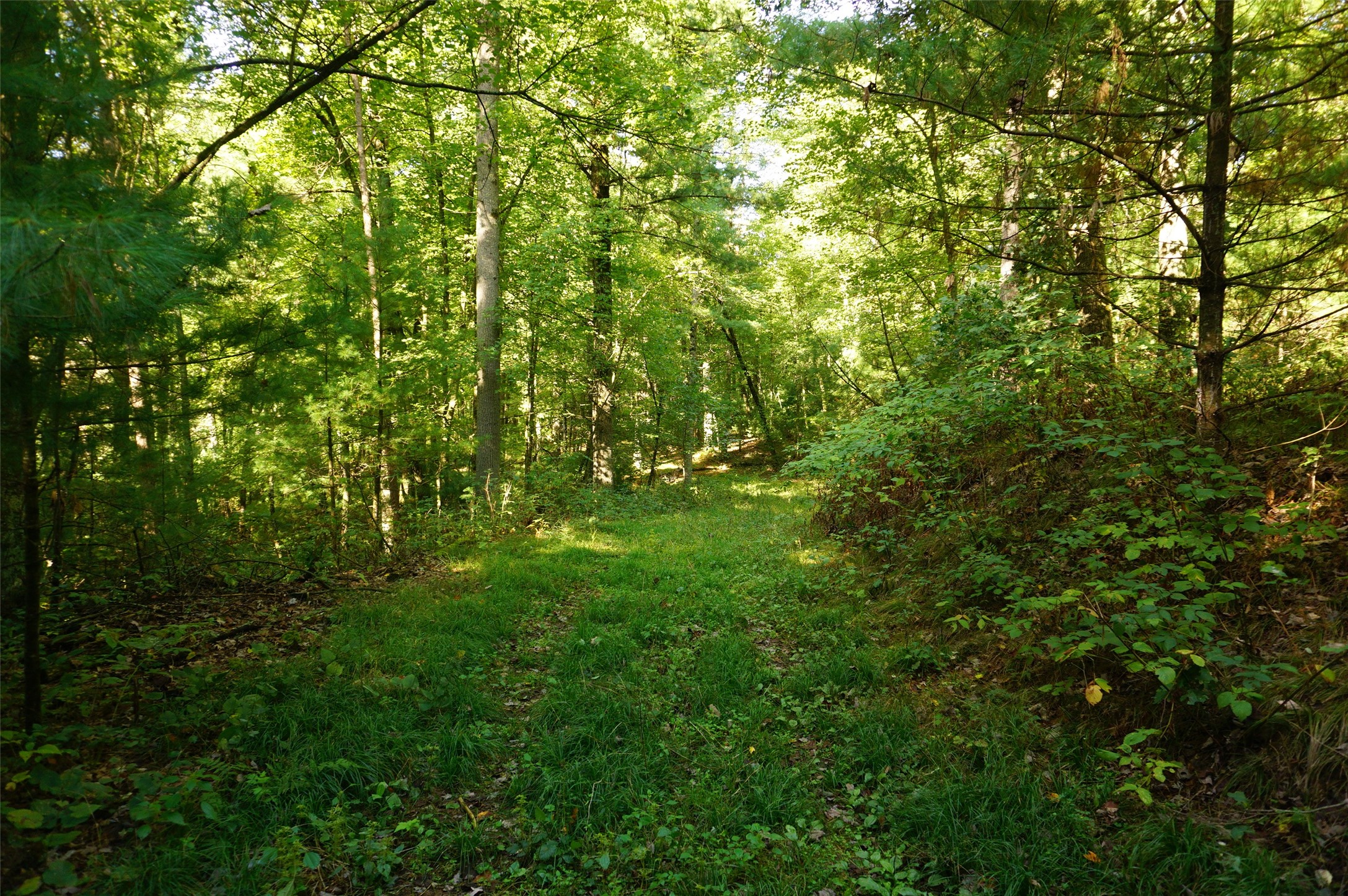 N9105 Flood -- Lot 5 Road Property Photo 12