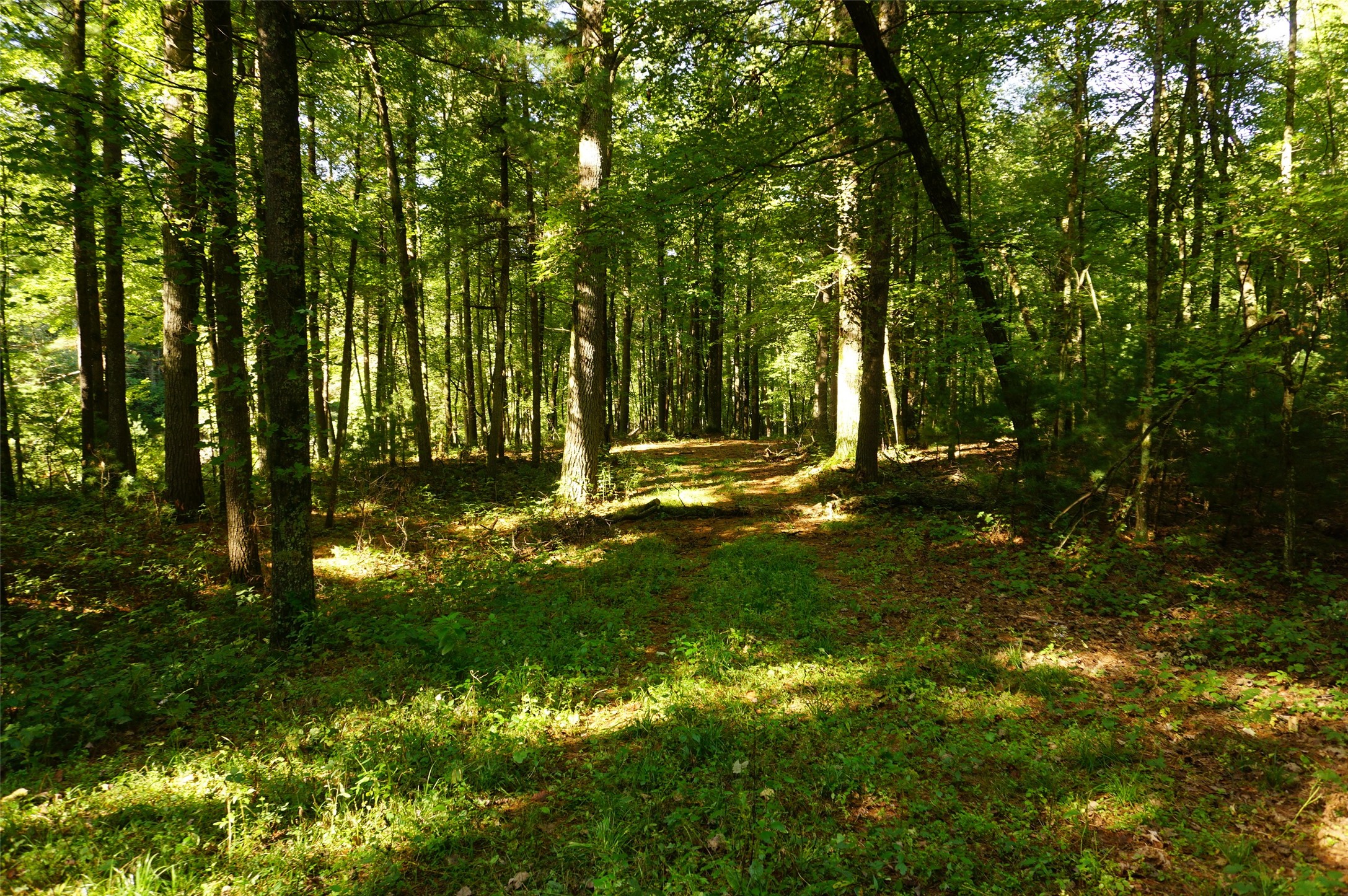 N9105 Flood -- Lot 5 Road Property Photo 13