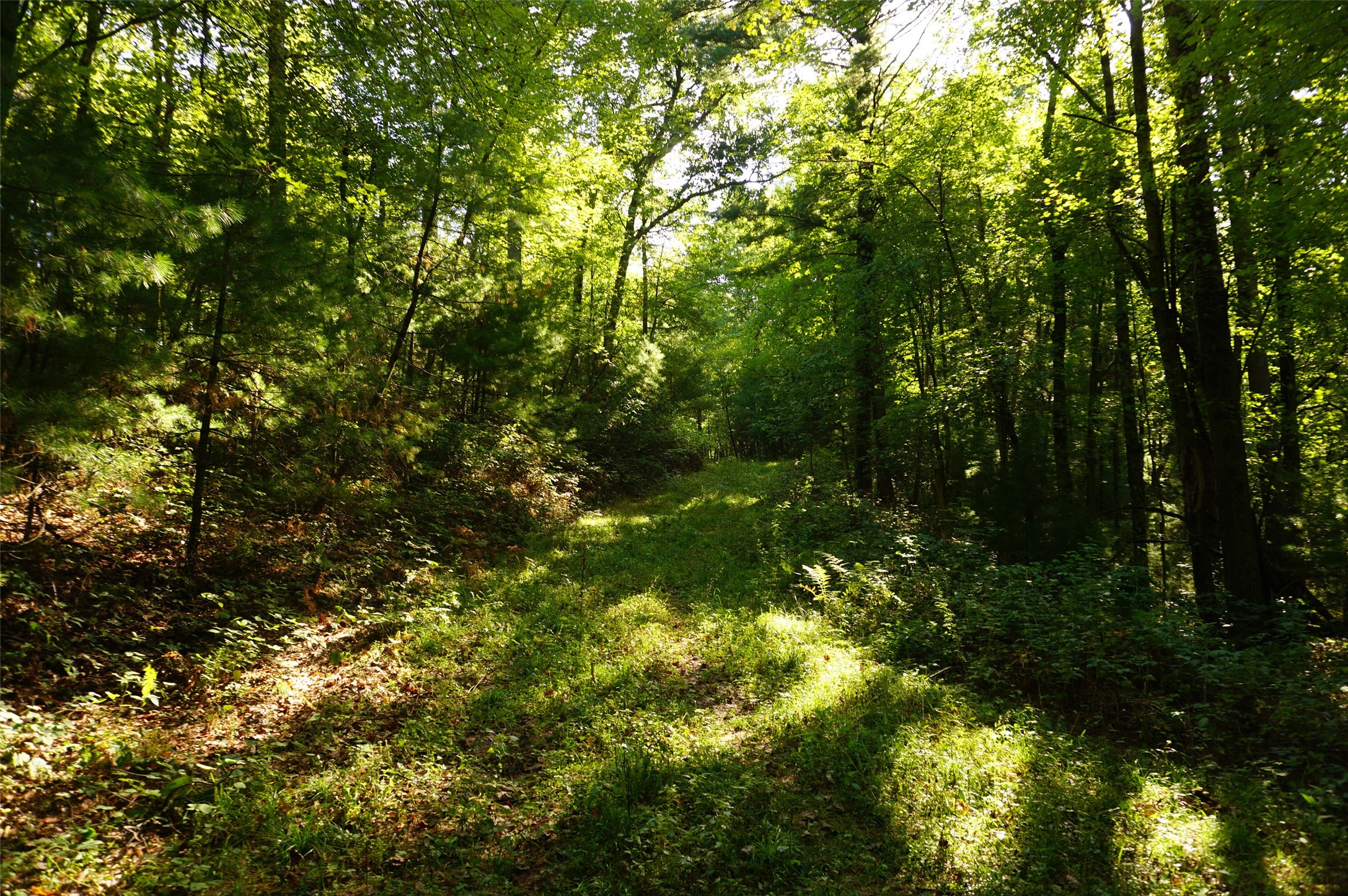 N9105 Flood -- Lot 5 Road Property Photo 14