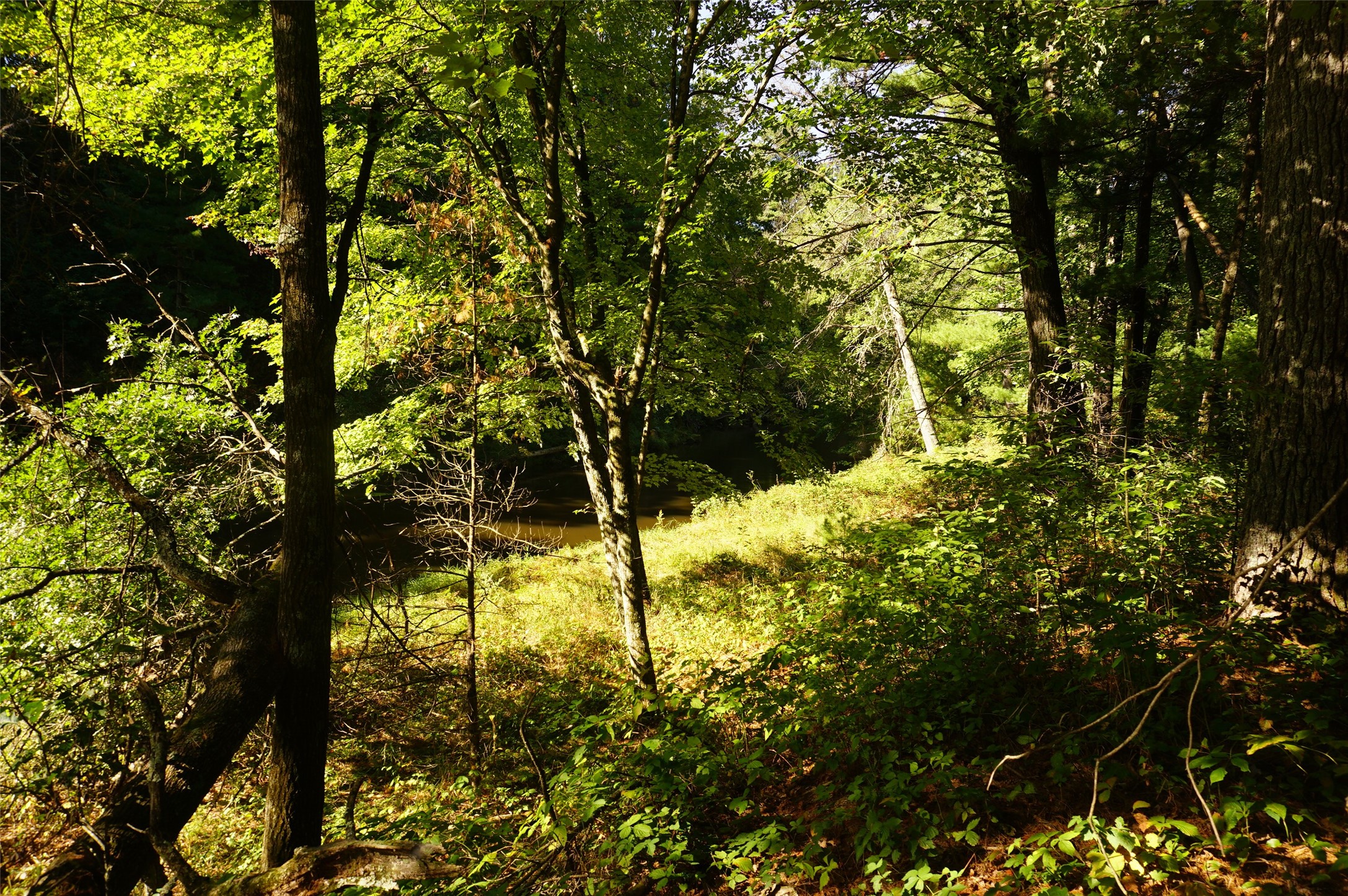 N9105 Flood -- Lot 5 Road Property Photo 15