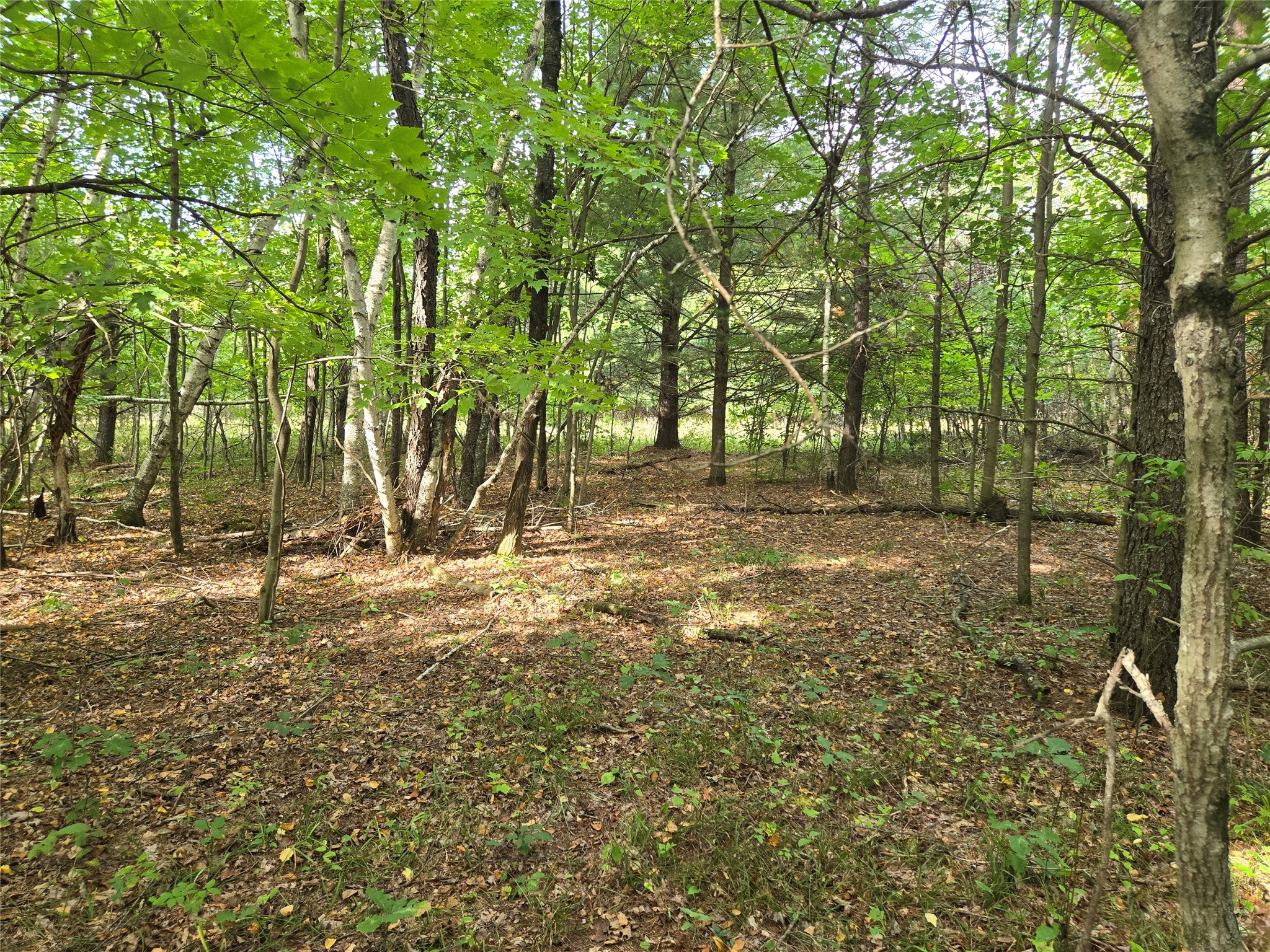 N5626 1170th Avenue Property Photo 15
