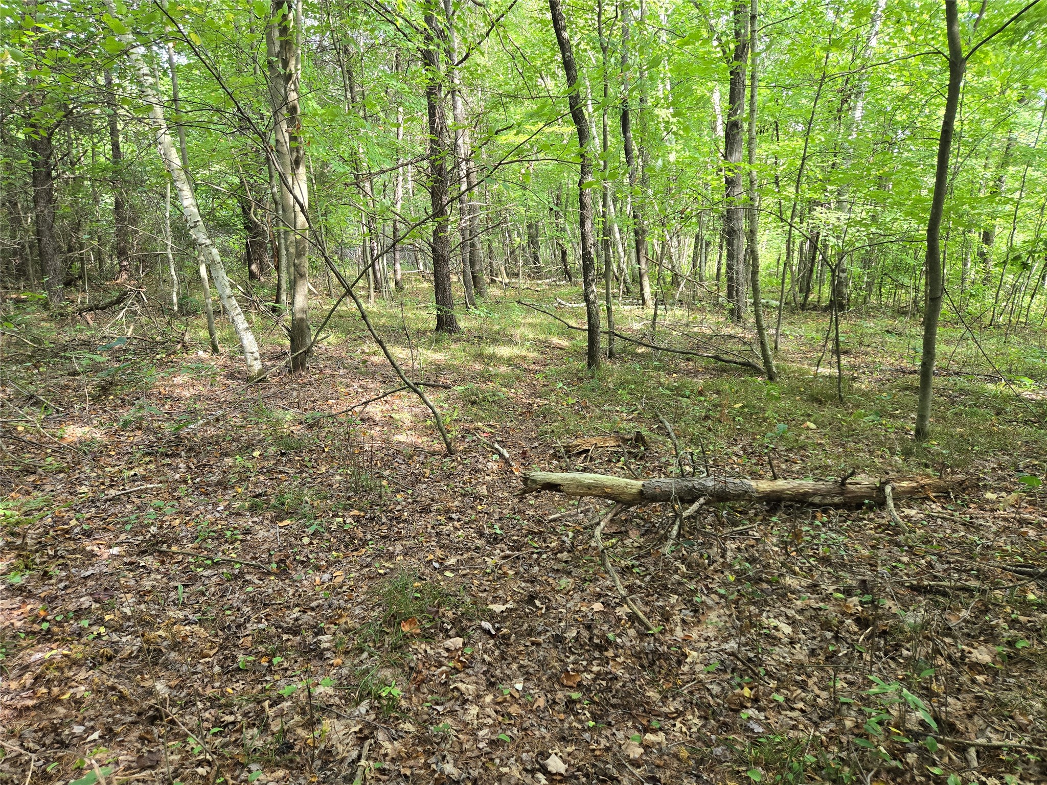 N5626 1170th Avenue Property Photo 16
