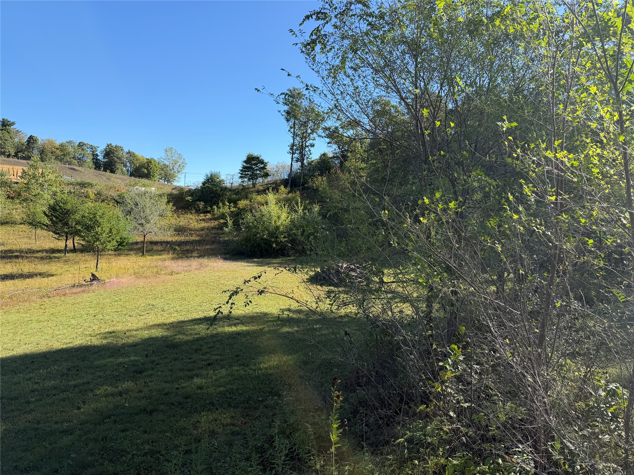 Lot 38 34th Avenue N Property Photo 2
