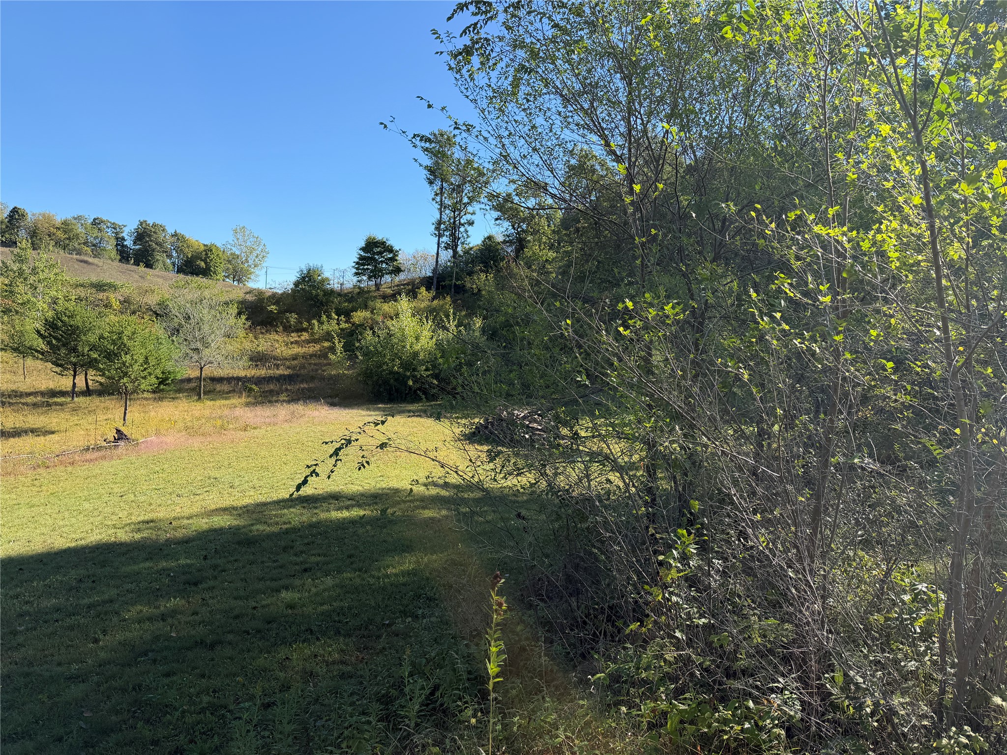 Lot 38 34th Avenue N Property Photo 3