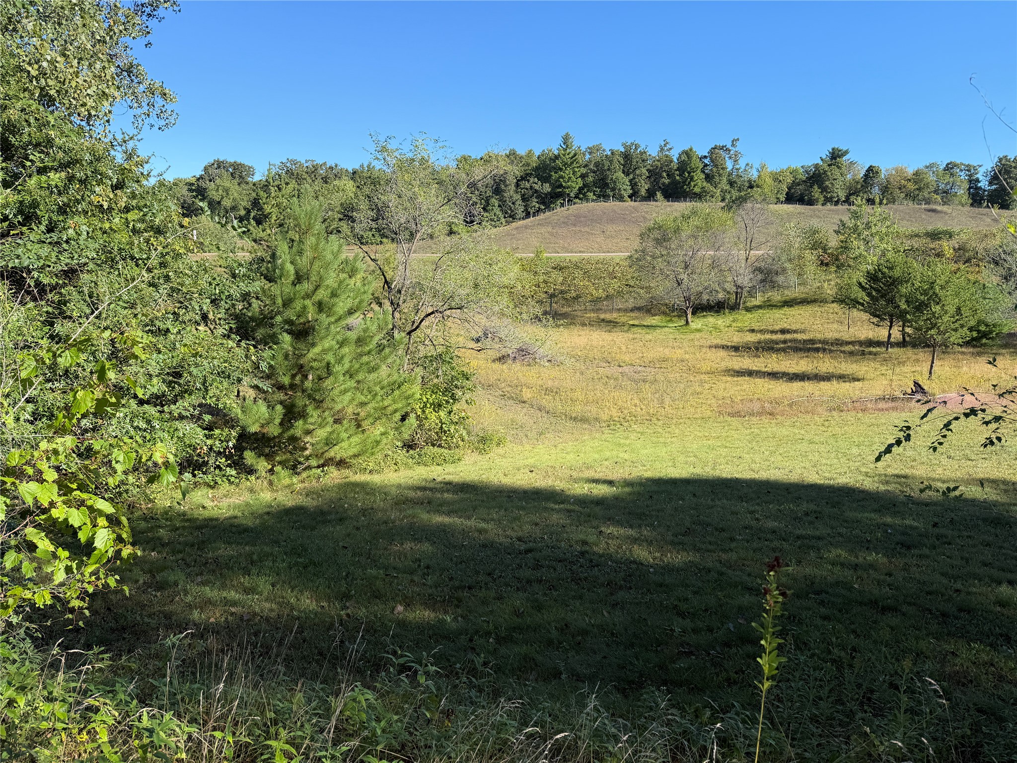Lot 38 34th Avenue N Property Photo 4