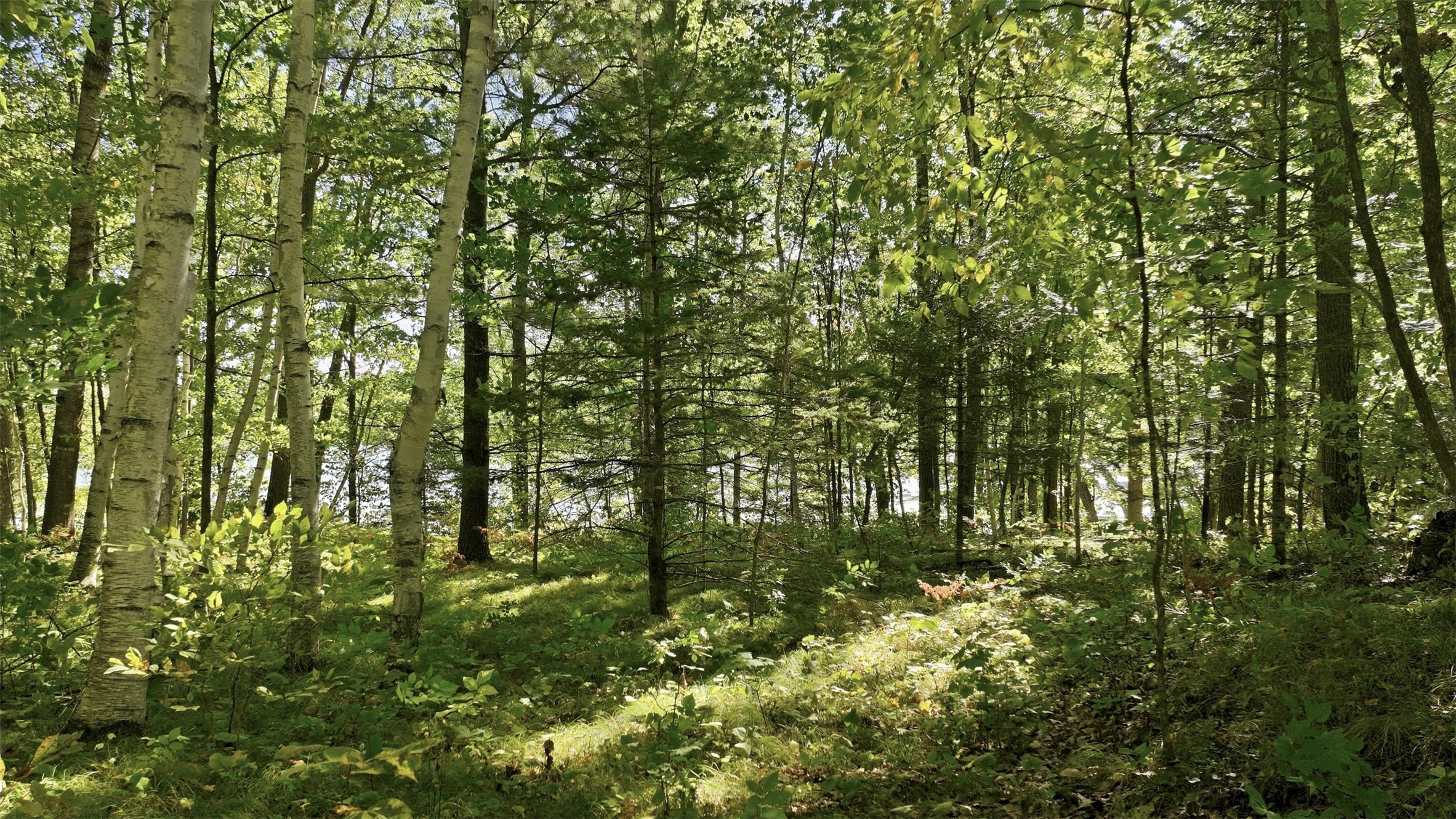 Lot 2 Sugar Bay Road Property Photo 10