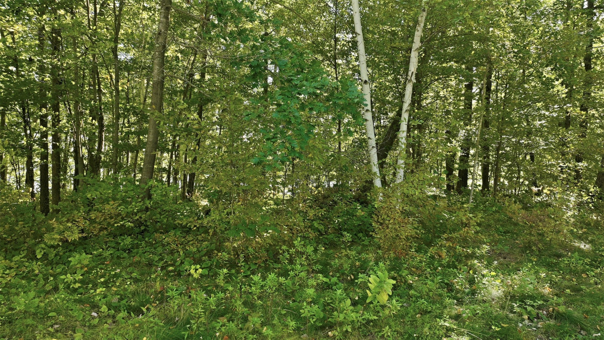 Lot 2 Sugar Bay Road Property Photo 19