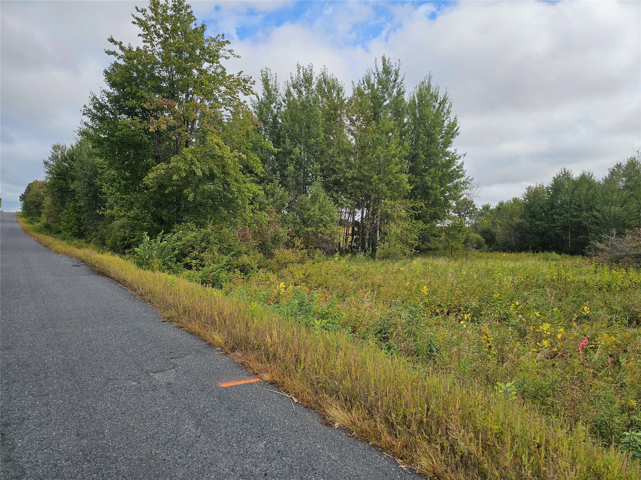 2300 Blk 350th Street Property Photo 41