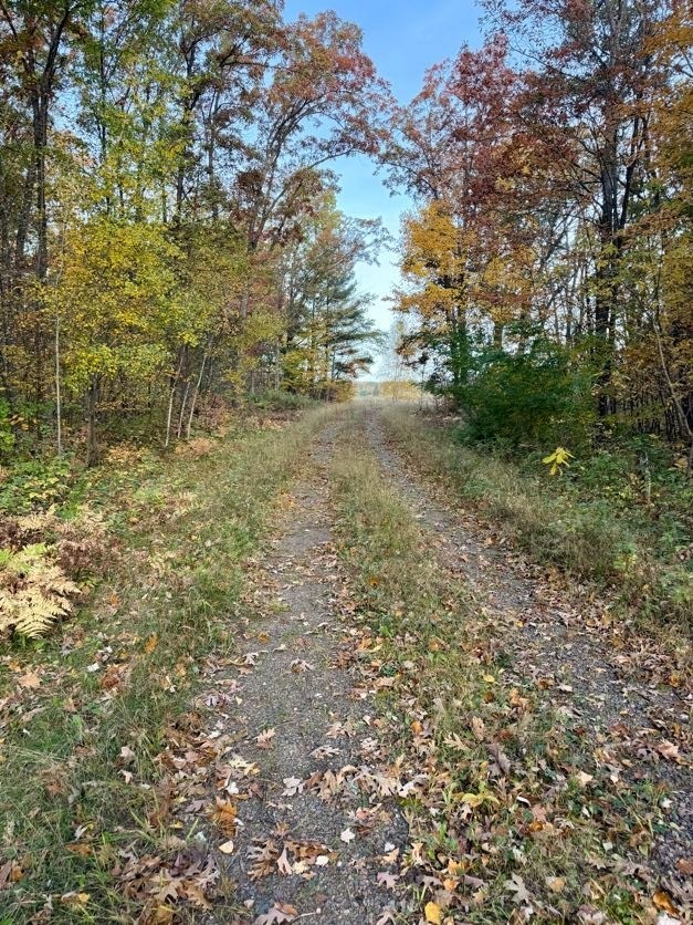 W6200 Highway 70 Property Photo 6