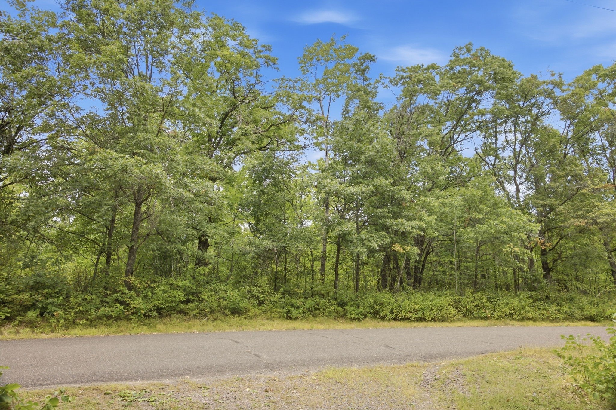 Lot 2 Little Mcgraw Lake Rd Property Photo 5