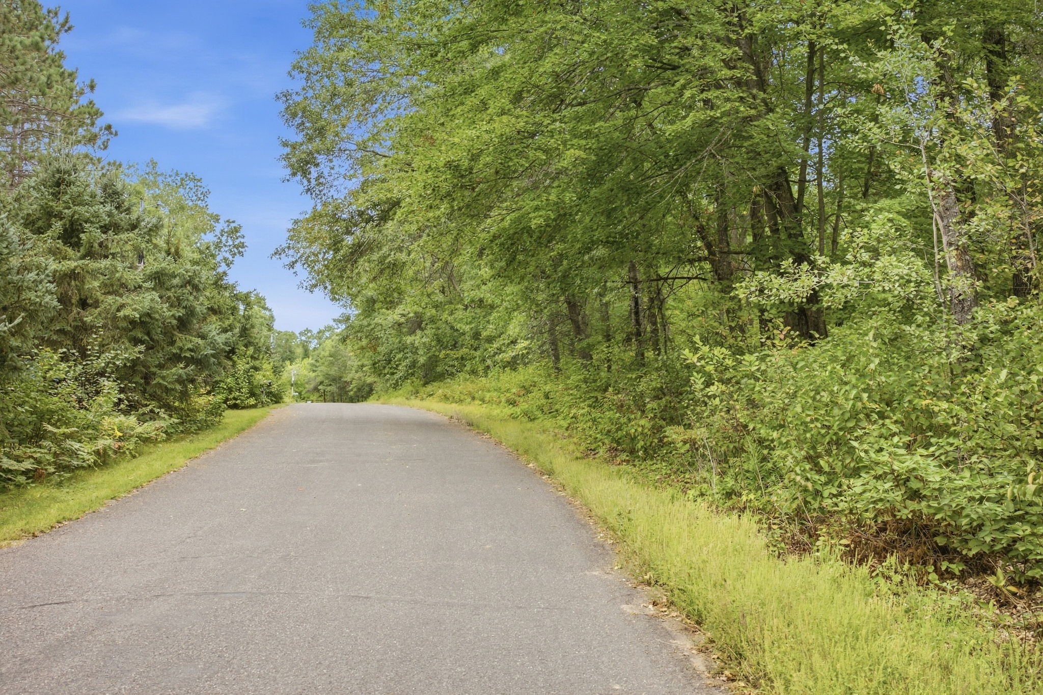 Lot 2 Little Mcgraw Lake Rd Property Photo 6