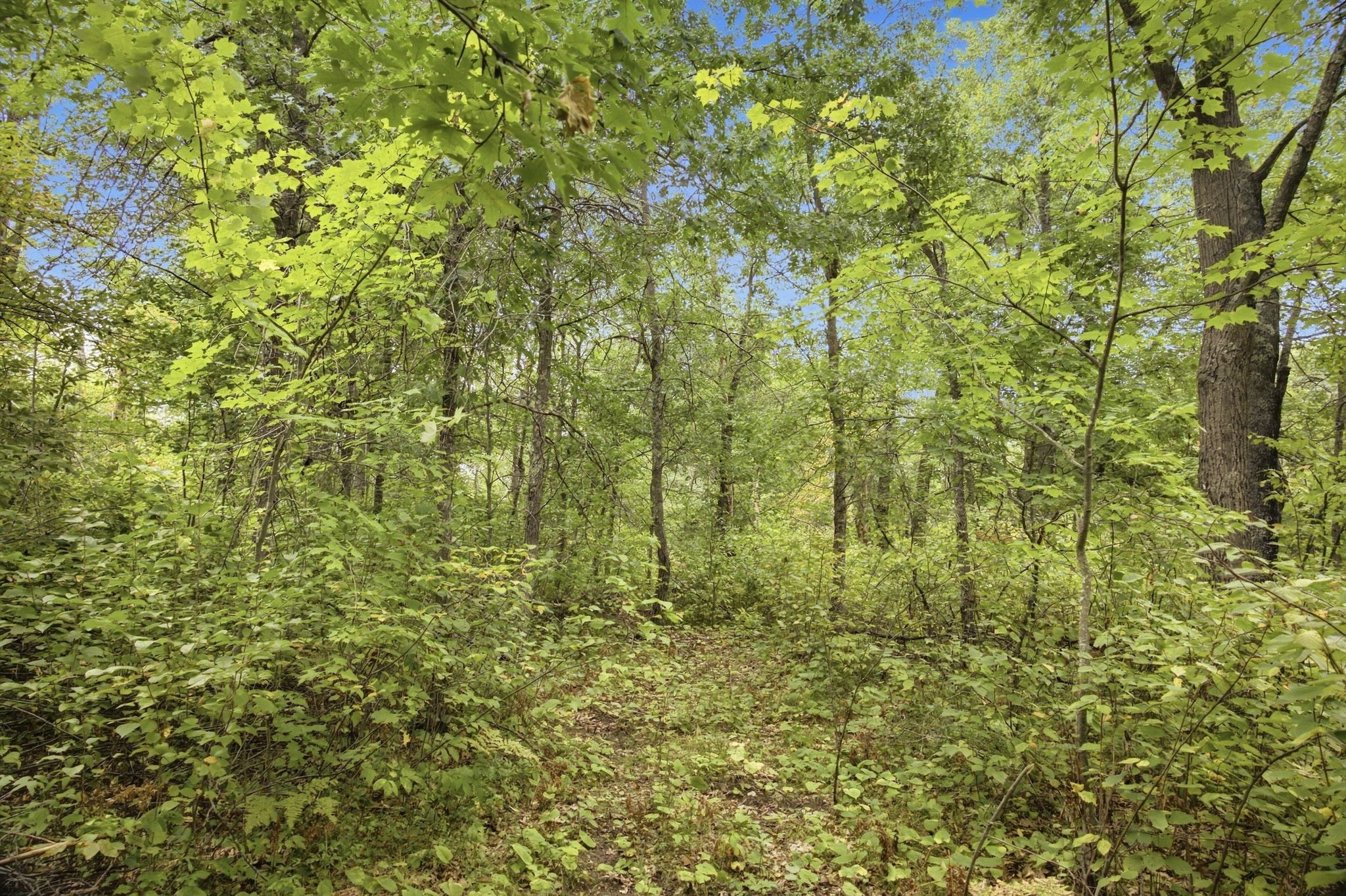 Lot 2 Little Mcgraw Lake Rd Property Photo 25