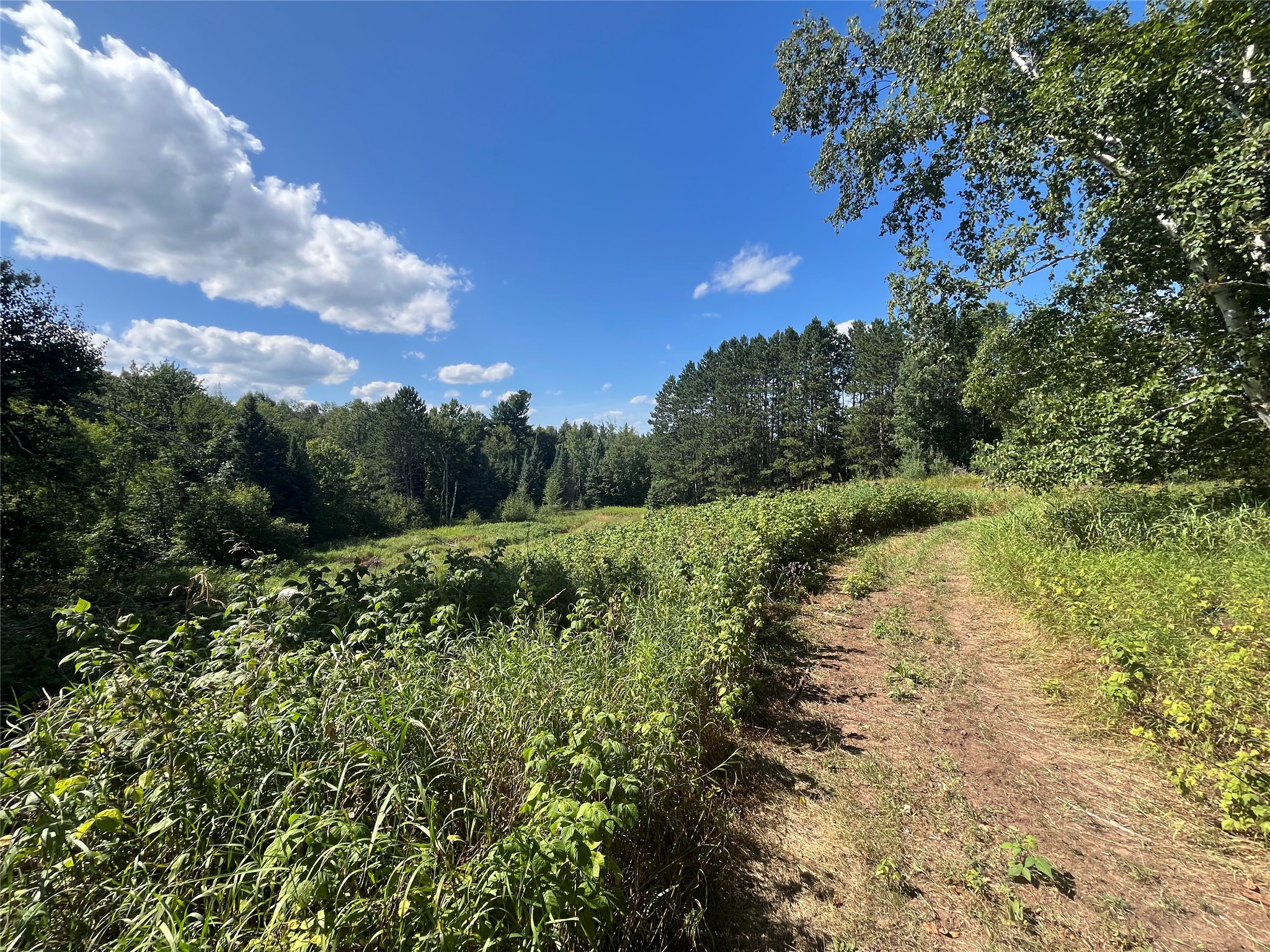 21920 N Sweden Road Property Photo 15