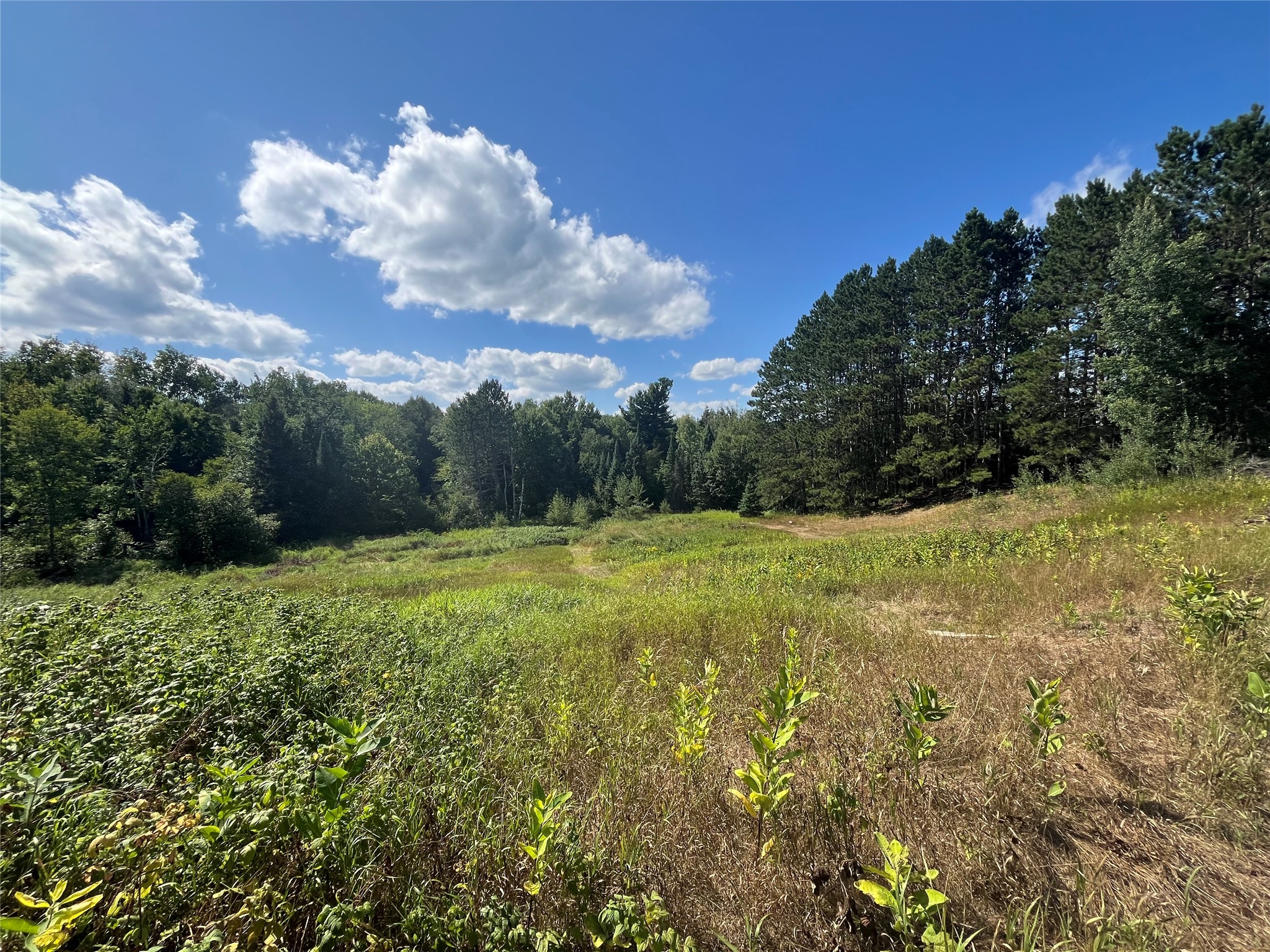 21920 N Sweden Road Property Photo 17