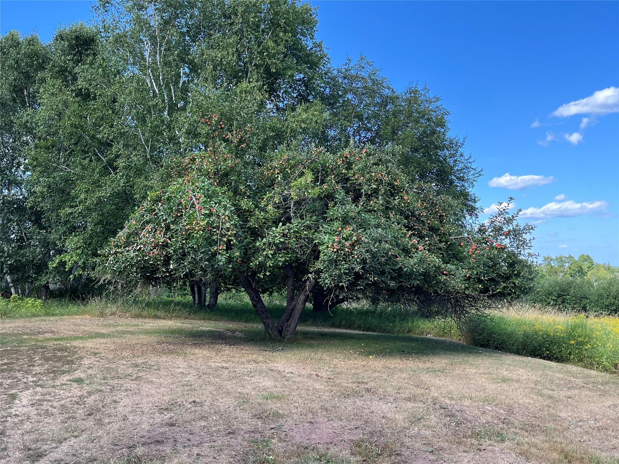 21920 N Sweden Road Property Photo 18