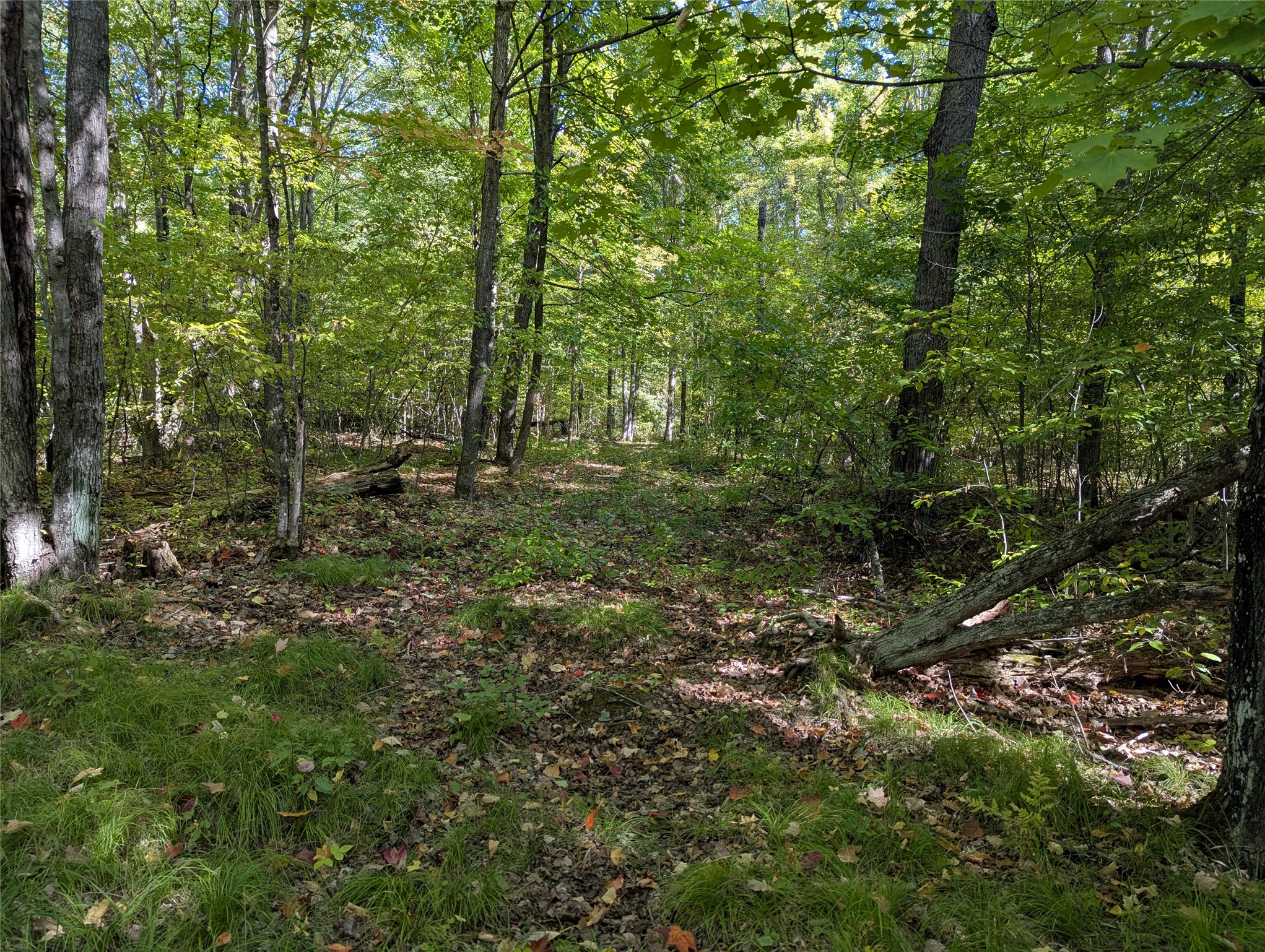 Lot 17 Rabbit Run Property Photo 1
