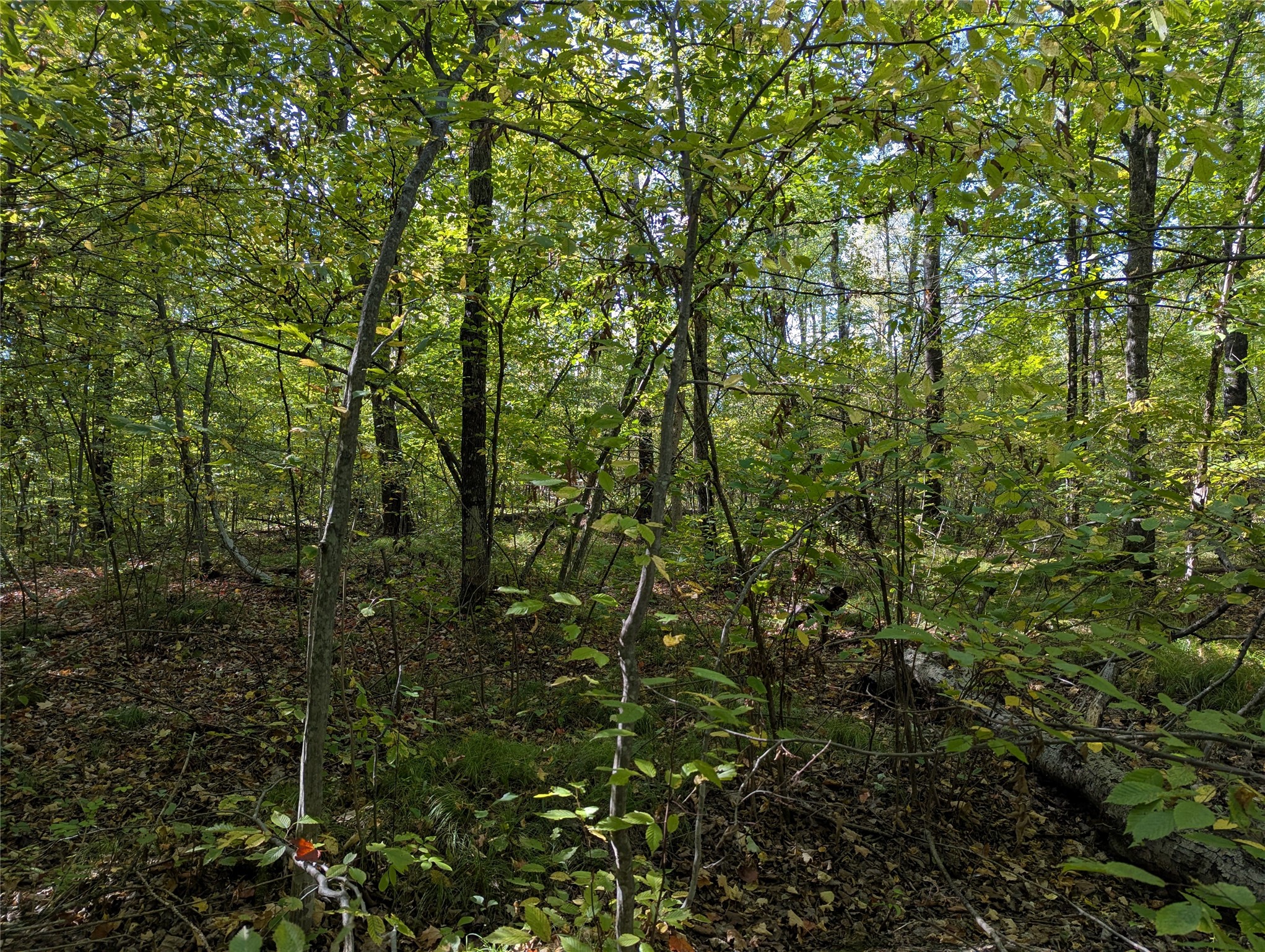 Lot 17 Rabbit Run Property Photo 5