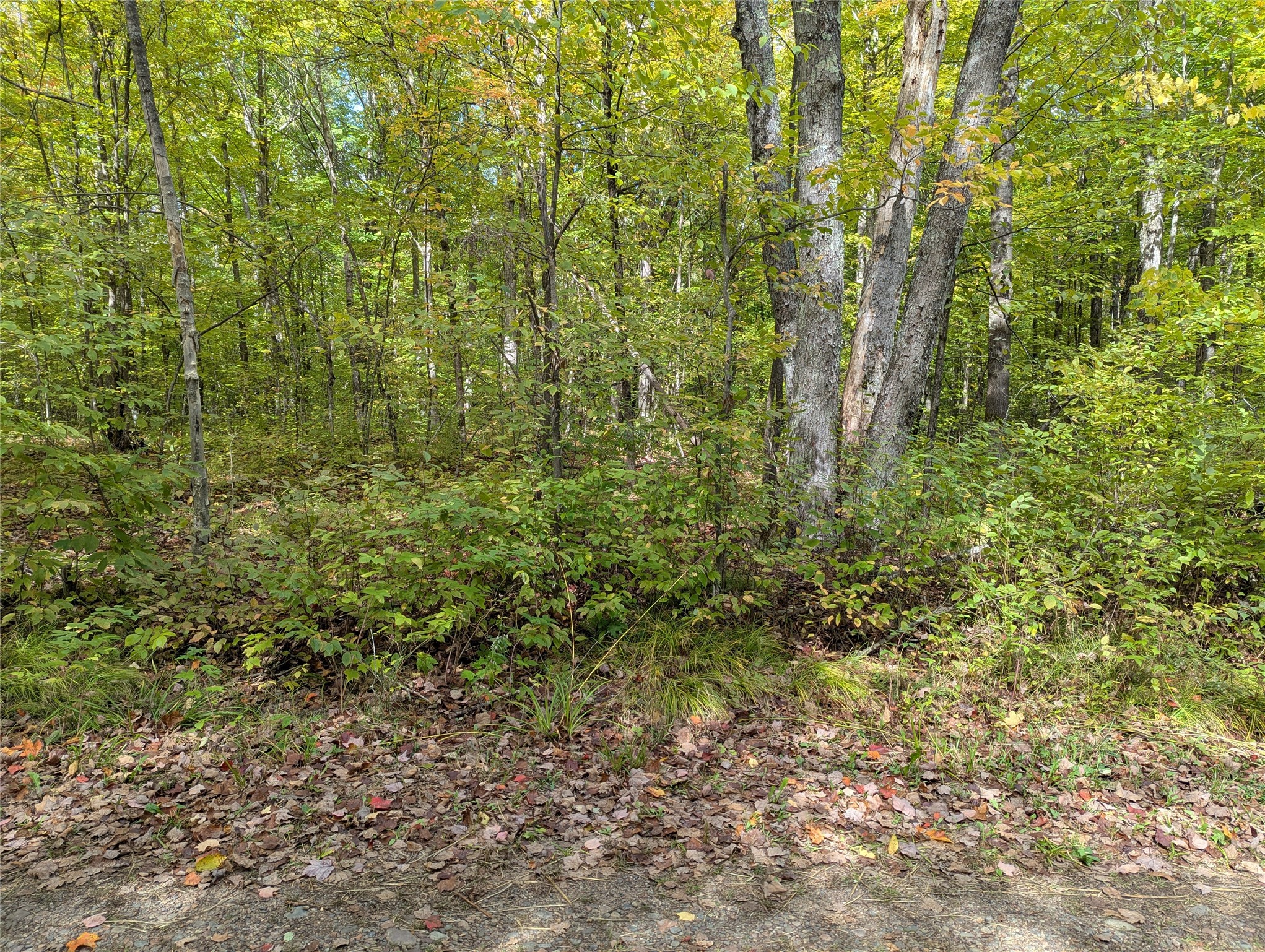 Lot 17 Rabbit Run Property Photo 6