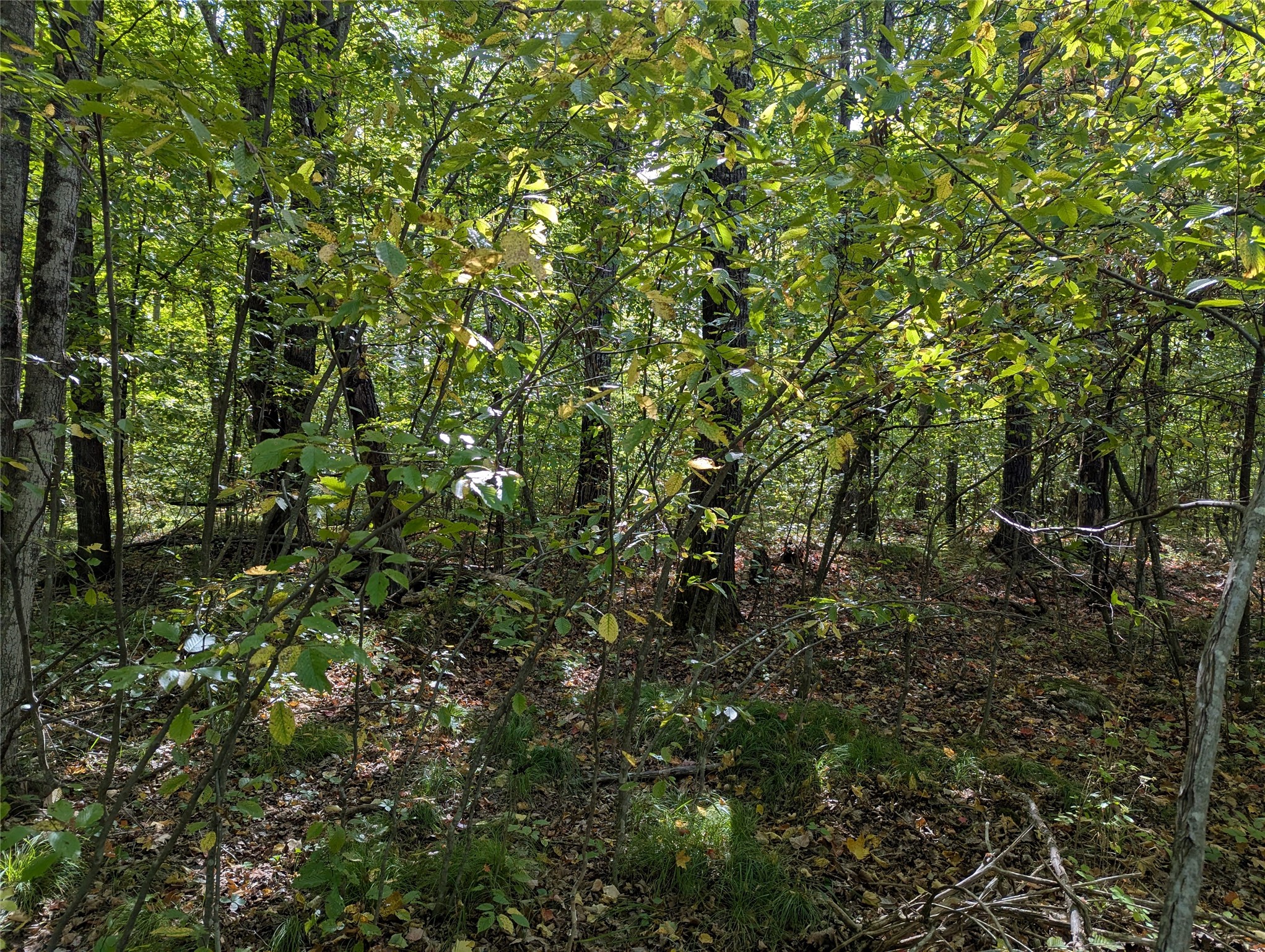 Lot 17 Rabbit Run Property Photo 7